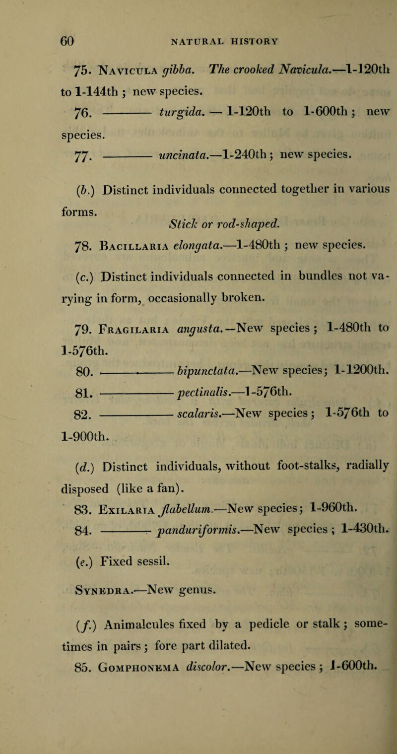 75. Navicula gibba. The crooked Navicula.—1-J20th to l-144th ; new species. 76. - turgida. — l-120th to 1-600th ; new species. 77- - - uncinata.—l-240th ; new species. (,b.) Distinct individuals connected together in various forms. Stick or rod-shaped. 78. Bacillaria elongata.—l-480th ; new species. (c.) Distinct individuals connected in bundles not va¬ rying in form, occasionally broken. 79. Fragilaria angusta.— New species; l-480tli to 1-576th. 80. bipunctata.—New species; l-1200th. 81.- -pectinalis.—1 -576th. 82. scalaris.—New species; l-576th to l-900th. (d.) Distinct individuals, without foot-stalks, radially disposed (like a fan). 83. Exilarta Jlabellum.—New species; l-960th. 84- -panduriformis.—New species ; l-430th. (e.) Fixed sessil. Synedra.-—New genus. (/.) Animalcules fixed by a pedicle or stalk; some¬ times in pairs ; fore part dilated. 85. Gomphonema discolor.—New species ; J-600th.