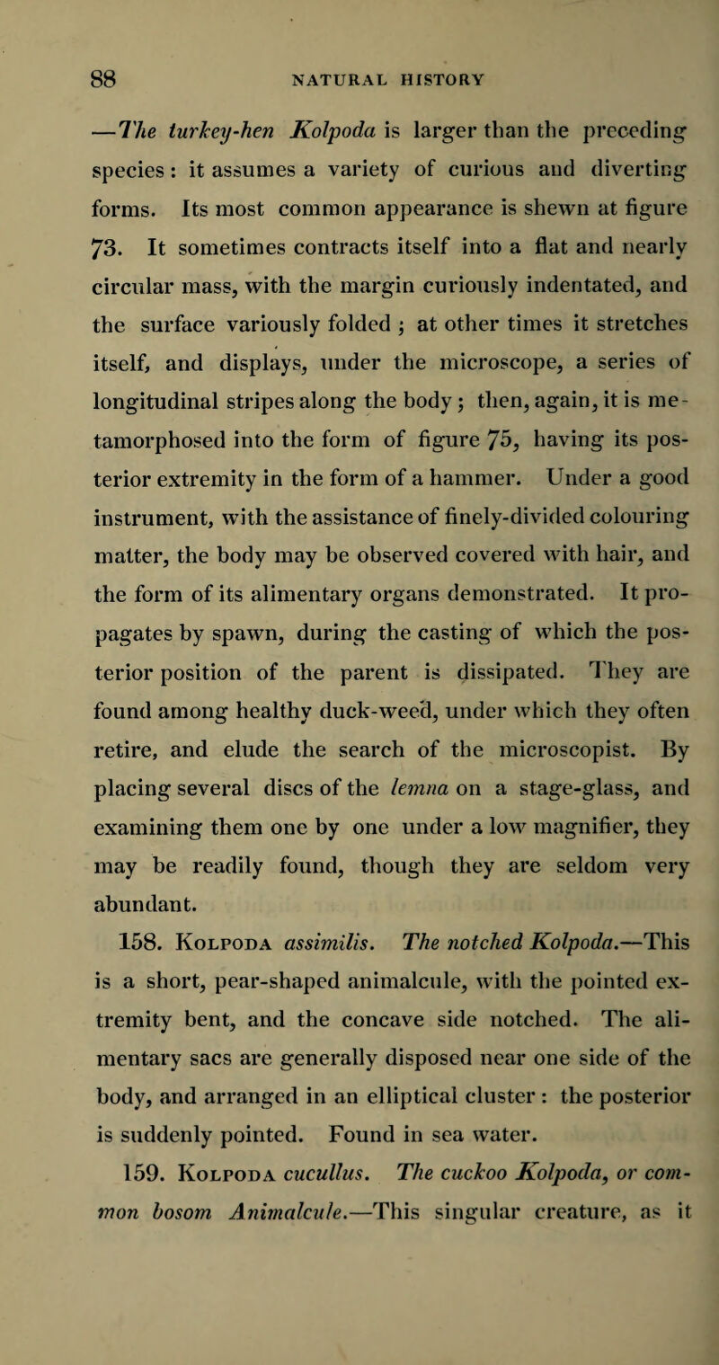 — The turkey-hen Kolpoda is larger than the preceding species: it assumes a variety of curious and diverting forms. Its most common appearance is shewn at figure 73. It sometimes contracts itself into a flat and nearly circular mass, with the margin curiously indentated, and the surface variously folded ; at other times it stretches itself, and displays, under the microscope, a series of longitudinal stripes along the body; then, again, it is me¬ tamorphosed into the form of figure 75, having its pos¬ terior extremity in the form of a hammer. Under a good instrument, with the assistance of finely-divided colouring matter, the body may be observed covered with hair, and the form of its alimentary organs demonstrated. It pro¬ pagates by spawn, during the casting of which the pos¬ terior position of the parent is dissipated. They are found among healthy duck-weed, under which they often retire, and elude the search of the microscopist. By placing several discs of the lemna on a stage-glass, and examining them one by one under a low magnifier, they may be readily found, though they are seldom very abundant. 158. Kolpoda assimilis. The notched Kolpoda.—This is a short, pear-shaped animalcule, with the pointed ex¬ tremity bent, and the concave side notched. The ali¬ mentary sacs are generally disposed near one side of the body, and arranged in an elliptical cluster : the posterior is suddenly pointed. Found in sea water. 159. Kolpoda cucullus. The cuckoo Kolpoda, or com¬ mon bosom Animalcule.—This singular creature, as it