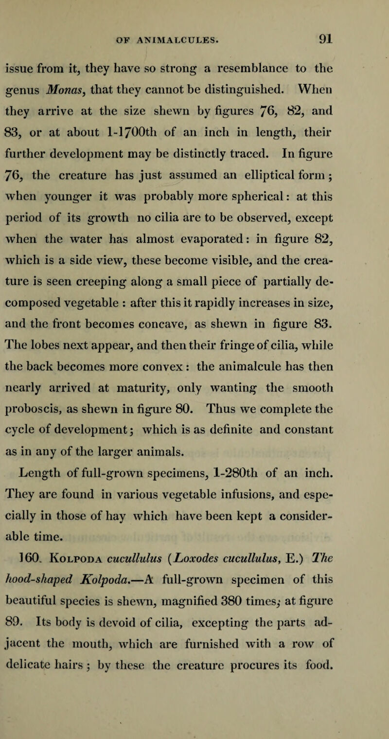 issue from it, they have so strong a resemblance to the genus Monas, that they cannot be distinguished. When they arrive at the size shewn by figures 76, 82, and 83, or at about 1-1700th of an inch in length, their further development may be distinctly traced. In figure 76, the creature has just assumed an elliptical form ; when younger it was probably more spherical: at this period of its growth no cilia are to be observed, except when the water has almost evaporated: in figure 82, which is a side view, these become visible, and the crea¬ ture is seen creeping along a small piece of partially de¬ composed vegetable : after this it rapidly increases in size, and the front becomes concave, as shewn in figure 83. The lobes next appear, and then their fringe of cilia, while the back becomes more convex : the animalcule has then nearly arrived at maturity, only wanting the smooth proboscis, as shewn in figure 80. Thus we complete the cycle of development j which is as definite and constant as in any of the larger animals. Length of full-grown specimens, l-280th of an inch. They are found in various vegetable infusions, and espe¬ cially in those of hay which have been kept a consider¬ able time. 160. Kolpoda cucullulus (Loxodes cucullulus, E.) The hood-shaped Kolpoda.—A full-grown specimen of this beautiful species is shewn, magnified 380 times,* at figure 89. Its body is devoid of cilia, excepting the parts ad¬ jacent the mouth, which are furnished with a row of delicate hairs ; by these the creature procures its food.