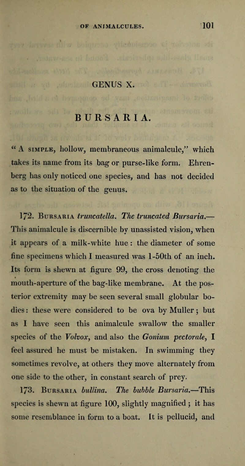 GENUS X. B U R S A R I A. “ A simple, hollow, membraneous animalcule,” which takes its name from its bag or purse-like form. Ehren- berg has only noticed one species, and has not decided as to the situation of the genus. 172. Bursaria truncatella. The truncated Bursaria.— This animalcule is discernible by unassisted vision, when it appears of a milk-white hue : the diameter of some fine specimens which I measured was l-50th of an inch. Its form is shewn at figure 99, the cross denoting the mouth-aperture of the bag-like membrane. At the pos¬ terior extremity may be seen several small globular bo¬ dies : these were considered to be ova by Muller; but as I have seen this animalcule swallow the smaller species of the Volvox, and also the Gonium pectorale, I feel assured he must be mistaken. In swimming they sometimes revolve, at others they move alternately from one side to the other, in constant search of prey. 173. Bursaria hullina. The bubble Bursaria.—This species is shewn at figure 100, slightly magnified ; it has some resemblance in form to a boat. It is pellucid, and