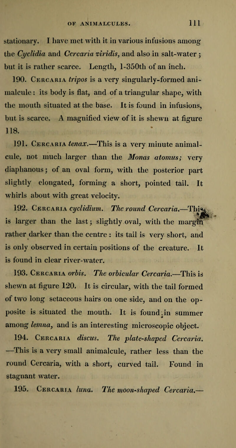 stationary. I have met with it in various infusions among the Cyclidia and Cercaria viridis, and also in salt-water ; but it is rather scarce. Length, 1-350th of an inch. 190. Cercaria tripos is a very singularly-formed ani¬ malcule : its body is flat, and of a triangular shape, with the mouth situated at the base. It is found in infusions, but is scarce. A magnified view of it is shewn at figure 118. 191. Cercaria tenax.—This is a very minute animal¬ cule, not much larger than the Monas atomus; very diaphanous; of an oval form, with the posterior part slightly elongated, forming a short, pointed tail. It whirls about with great velocity. 192. Cercaria cyclidium. The round Cercaria rr ’ is larger than the last; slightly oval, with the margin rather darker than the centre : its tail is very short, and is only observed in certain positions of the creature. It is found in clear river-water. 193. Cercaria orbis. The orbicular Cercaria.—This is shewn at figure 120. It is circular, with the tail formed of two long setaceous hairs on one side, and on the op¬ posite is situated the mouth. It is found.in summer among lemna, and is an interesting microscopic object. 194. Cercaria discus. The plate-shaped Cercaria. —This is a very small animalcule, rather less than the round Cercaria, with a short, curved tail. Found in stagnant water. 195. Cercaria luna. The moon-shaped Cercaria.—