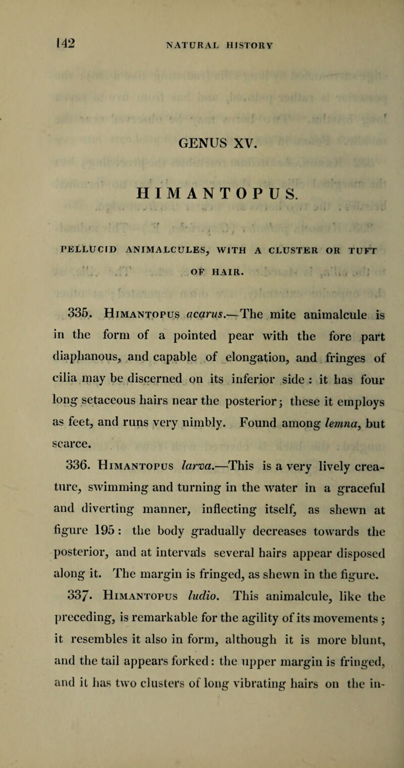GENUS XV. HIMANTOPUS. «■' f v f •. 4 t PELLUCID ANIMALCULES, WITH A CLUSTER OR TUFT OF HAIR. 335. Himantopus acarus.—The mite animalcule is in the form of a pointed pear with the fore part diaphanous, and capable of elongation, and fringes of cilia may be discerned on its inferior side : it has four long setaceous hairs near the posterior; these it employs as feet, and runs very nimbly. Found among lemna, but scarce. 336. Himantopus larva.—This is a very lively crea¬ ture, swimming and turning in the water in a graceful and diverting manner, inflecting itself, as shewn at figure 195: the body gradually decreases towards the posterior, and at intervals several hairs appear disposed along it. The margin is fringed, as shewn in the figure. 337* Himantopus ludio. This animalcule, like the preceding, is remarkable for the agility of its movements ; it resembles it also in form, although it is more blunt, and the tail appears forked: the upper margin is fringed, and it has two clusters of long vibrating hairs on the in-
