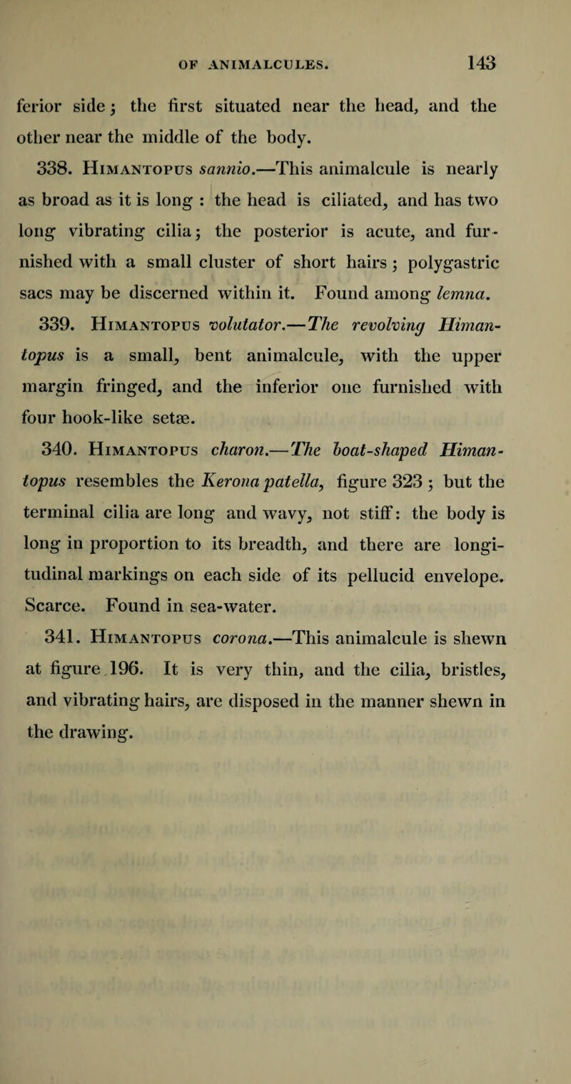 ferior side; the first situated near the head, and the other near the middle of the body. 338. Himantopus sannio.—This animalcule is nearly as broad as it is long : the head is ciliated, and has two long vibrating cilia; the posterior is acute, and fur¬ nished with a small cluster of short hairs ; polygastric sacs may be discerned within it. Found among lemna. 339. Himantopus volutator.—The revolving Himan¬ topus is a small, bent animalcule, with the upper margin fringed, and the inferior one furnished with four hook-like setee. 340. Himantopus charon.—The boat-shaped Himan¬ topus resembles the Kerona patella, figure 323 ; but the terminal cilia are long and wavy, not stiff: the body is long in proportion to its breadth, and there are longi¬ tudinal markings on each side of its pellucid envelope. Scarce. Found in sea-water. 341. Himantopus corona.—This animalcule is shewn at figure 196. It is very thin, and the cilia, bristles, and vibrating hairs, are disposed in the manner shewn in the drawing.