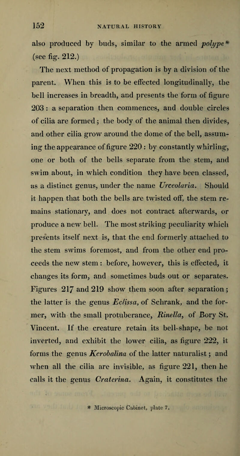 also produced by buds, similar to the armed polype* (see fig. 212.) The next method of propagation is by a division of the parent. When this is to be effected longitudinally, the bell increases in breadth, and presents the form of figure 203 : a separation then commences, and double circles of cilia are formed; the body of the animal then divides, and other cilia grow around the dome of the bell, assum¬ ing the appearance of figure 220 : by constantly whirling, one or both of the bells separate from the stem, and swim about, in which condition they have been classed, as a distinct genus, under the name Urceolarici. Should it happen that both the bells are twisted off, the stem re¬ mains stationary, and does not contract afterwards, or produce a new bell. The most striking peculiarity which presents itself next is, that the end formerly attached to the stem swims foremost, and from the other end pro¬ ceeds the new stem : before, however, this is effected, it changes its form, and sometimes buds out or separates. Figures 21/ and 219 show them soon after separation; the latter is the genus Eclissa, of Schrank, and the for¬ mer, with the small protuberance, Rinella, of Bory St. Vincent. If the creature retain its bell-shape, be not inverted, and exhibit the lower cilia, as figure 222, it forms the genus Kerobalina of the latter naturalist; and when all the cilia are invisible, as figure 221, then he calls it the genus Craterina. Again, it constitutes the * Microscopic Cabinet, plate 7.