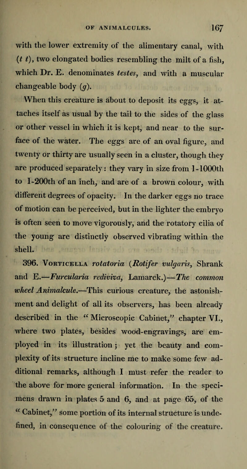 with the lower extremity of the alimentary canal, with (t t), two elongated bodies resembling the milt of a fish, which Dr. E. denominates testes, and with a muscular changeable body (g). When this creature is about to deposit its eggs, it at¬ taches itself as usual by the tail to the sides of the glass or other vessel in which it is kept, and near to the sur¬ face of the water. The eggs are of an oval figure, and twenty or thirty are usually seen in a cluster, though they are produced separately: they vary in size from 1-1000th to 1-200th of an inch, and are of a brown colour, with different degrees of opacity. In the darker eggs no trace of motion can be perceived, but in the lighter the embryo is often seen to move vigorously, and the rotatory cilia of the young are distinctly observed vibrating within the shell. 396. Vorticella rotatoria (Rotifer vulgaris, Shrank and E.—Furcularia rediviva, Lamarck.)—The common wheel Animalcule.—This curious creature, the astonish¬ ment and delight of all its observers, has been already described in the te Microscopic Cabinet,” chapter VI., where two plates, besides wood-engravings, are em¬ ployed in its illustration; yet the beauty and com¬ plexity of its structure incline me to make some few ad¬ ditional remarks, although I must refer the reader to the above for more general information. In the speci¬ mens drawn in plates 5 and 6, and at page 65, of the ec Cabinet,” some portion of its internal structure is unde¬ fined, in consequence of the colouring of the creature.
