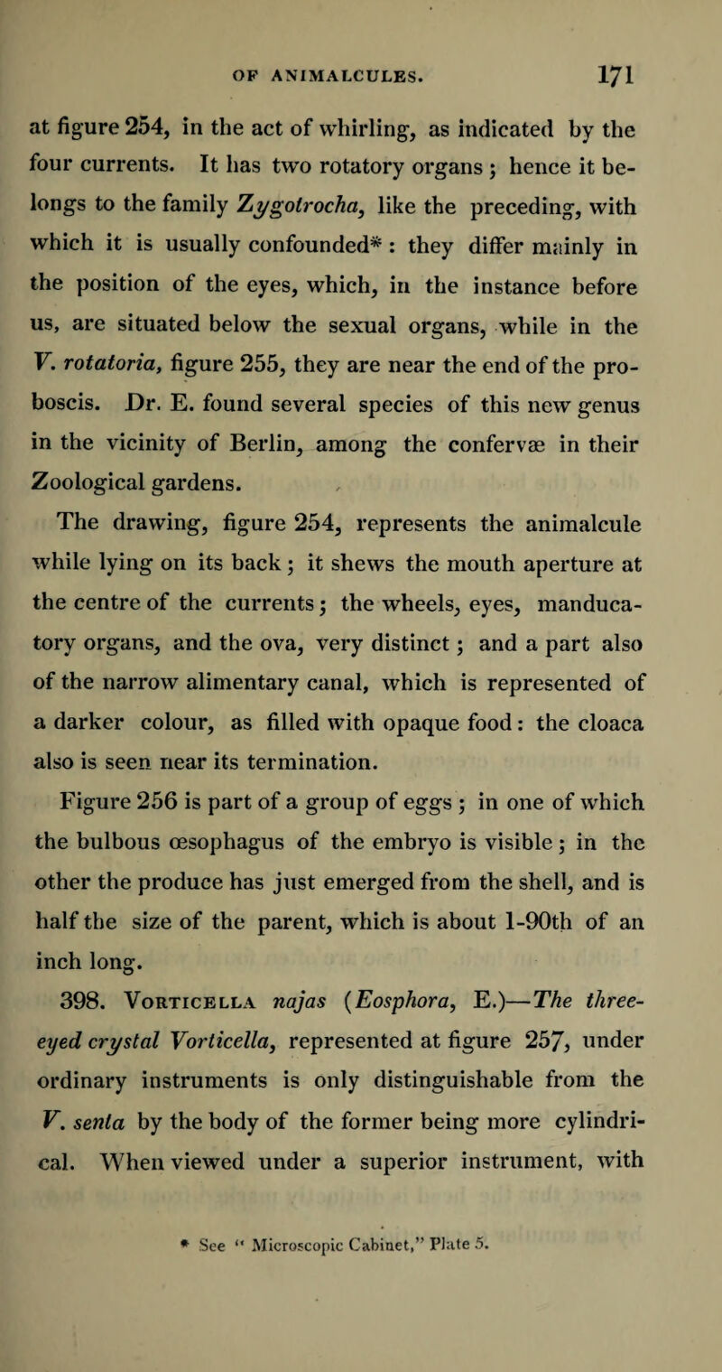 at figure 254, in the act of whirling1, as indicated by the four currents. It has two rotatory organs ; hence it be¬ longs to the family Zygolrocha, like the preceding, with which it is usually confounded* : they differ mainly in the position of the eyes, which, in the instance before us, are situated below the sexual organs, while in the V. rotatoria, figure 255, they are near the end of the pro¬ boscis. Dr. E. found several species of this new genus in the vicinity of Berlin, among the confervae in their Zoological gardens. The drawing, figure 254, represents the animalcule while lying on its back ; it shews the mouth aperture at the centre of the currents; the wheels, eyes, manduca¬ tory organs, and the ova, very distinct; and a part also of the narrow alimentary canal, which is represented of a darker colour, as filled with opaque food: the cloaca also is seen near its termination. Figure 256 is part of a group of eggs ; in one of which the bulbous oesophagus of the embryo is visible; in the other the produce has just emerged from the shell, and is half the size of the parent, which is about l-90th of an inch long. 398. Vorticella najas (Eosphora, E.)—The three¬ eyed crystal Vorticella, represented at figure 257, under ordinary instruments is only distinguishable from the V. senta by the body of the former being more cylindri¬ cal. When viewed under a superior instrument, with * See “ Microscopic Cabinet,” Plate 5.