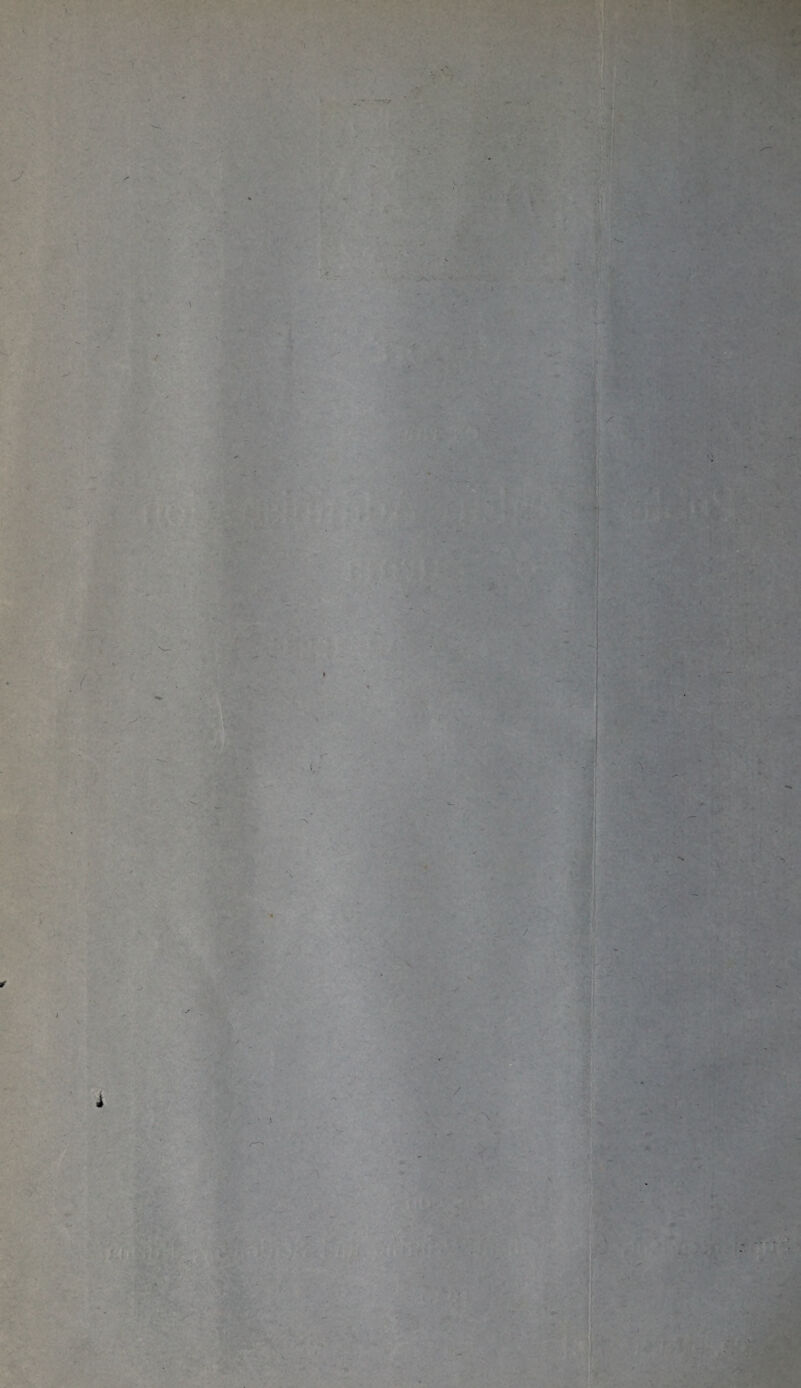 . ( ♦ A * s •7 )