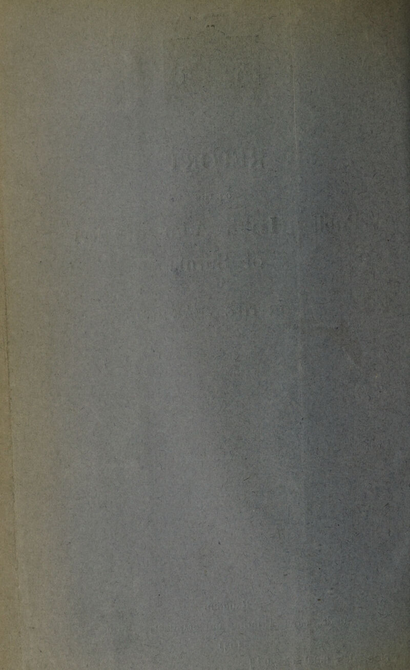 V ■■ y y'i '- ' frit ' •■■ V ■ V ''S , ■ ■ -VI--''' •; ',• v’. •.. T' A, ' \ , V (4■■' 'V' “:«■ j,. i •.'/?■■ yM-,, r:y:myym i’-'. ‘i ' ■, .,'h' ''*f','''':::''' j'.'”r' ■ ' ' M ■ .' '.' T , ^'' ;. vf ■ -v- ;■ ■ - --t-,'., <(■■',■■  V M-'v vs. S'- ‘. . .-v/ .s'Mv V Sv,,\:v ,, s...':;.. . '-...M . 's’- r-\ .y:y yy'y]iyyyyy:^. 4: i ■/. a' - ‘ ■vsM A •/ v;, V- . , . ; . - •>.' - -.t 1-^1. / ' A ‘V-^V*v - .•■I--' S' .■ ■■ M V,'- .1.“ ■ ^^. ' - Vv-;': v,sri«i S' . '/'S' S 'l M :• v/ Svy/s ;; ■<?■::'■ i-x'/S'' s-v Wt, . ' \ ■ •'. ' ■'} ' ' '.\ . ;.,)'■■» , . ‘ f' S?t.- 1v ■■■■•. .t - vV; ' 1 ■ , • J I .y. -■? , . t‘ 'e i' - ', ■'?■ ( -S'X ,. .-• ’S- A. t'-y’s A-'-iS''- ^i, ;s.v:'. ■ '•''■■' •■ ' ■'-.X ■X'X . XX.V^.jS: ,x:x  S'-'?': 'xX’Jfj- ,' .'* 'S' X. ' 'Sf/: / y-x '.i' *■', ’ ■ f,'; ySiv.': ■ ■ 1 >' -'x , :1- ,XV-‘v- -.' ! V. ,- ,:', -'xv'-'S'?/' V.-, ..rj'----< ySxV V./ ■\ '. 's;*- 'S-s'V.’'S -■ t‘ - - ■- : y.:;-sr-v-i, x .' ; ' ' ■■ ■' ' y . ■'■ 'A-MV' ,., - , /;. x:V-'S'- 'I'xl - '' ■' . ■'■ i:.J ■ '■’ .:';V,?; ..'xS'-'s'' '■ '■'■-■ '■- ' .-'i ' ■ '^yyy::ryy(^yf-^M 's ' X; „ M yx' ‘■, V:i; . ■ -x: , ■ ■ ■.-■::■ XX' M:■ ' -''x-', S' -•■: MX' ' ’-I' s’ f•::■'■ vl' ‘ ■'. \ ■ M' \ •;  ^ M '. • '^-;Av ' • '■'i ' •'' ''- -'' ' M'  ’ A x’ •: ■;' '.X ''■'’X ’ /xxS’,' :x-;xs -.V ':1f '■X ■ i i . y X,' '-■ ' ! '..- 'i.'-'.■ . ■‘'■- 'V-MS‘ Xs ”x-''S '' ':x ■,'r- f.-■ ,v / xM ',l-‘ '-.. : • -S ' c'-' ' 'i .' V '1 ■ 'At ■,-..■/•{'■ • X'- ' '■ - ;'>M''M','x:'' 'Ax. ■ A;Ax.x::x.a;: .*• .' <■ . ' .'••»> '.•>;> K- \, . V' ■ >■ ' '<:■■■ ' • •■• -'• '■ wXiA- ,'■ .> ■' ''C--'*:/y y ^ ,. 1 .';■ :-'.s '/r-'i • - ',\’ ::>(• . '!'. V X x>A SxA . -'mm'■'■ -mms■ XS'Sx■#■ ■V'. i ''■•■ '- “^^/.'■■■’ m ■>''■ ■''-I. -,,, ' '.' .' ■ -'l. ;■ ' ''x-'. . >■.. ./V- >’■ ,,. .' ■ ; , ; ' ’ x' i ; f m <• '.., j-1 '. X X'i XX'*:x i . ' - mm ■:m. i 'Mx x ^.■'■■••M::'’>- ''M': ■■'•' y I X X..V -XX ' M':>• . ;>' p. ^ •■ -X'X '.x ■;;'v'.. '-X:;-x';X vx.' v <* .- . ■.; I' ■''.,'• A AV-r- ■'  >.'. ^«' '■ I • 'x.'xs'M.iA ,' t.; tV' -■ mi-. ,.V., V.- •' \ ' t I . ..X ''■' , . •.. .1- . ■ ■ > ■- . .v«. ♦ . K r ■. '■i ' . . x-Av' - ■• mr ■ -■■■'.■ r ■' • '•■■. f \ ' ■ ->■■ c' •' ;' ■• '.’ -.' '■X-ii- , ■ ■ ■^•.'X. ''-■■?;•; y-. --.m, • V . • ^ , . .L . -.1. ‘ - • . --i.' ■'y,. .-1 'xy .'xXf|5Sf>-' M; - ' ■x.H-.v «W':X ■ •,
