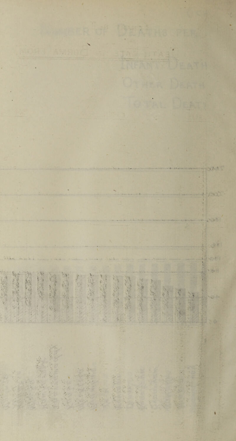 4- 4; I. / -R i >■' 'tV I • . •' ■ 5, r\ -*■* t« *v ••. '',’* .L;*vv-?t*' ■ !«,< , . - ^ W • • *-<r^ • •*►•' '-»** ♦♦ * . X# -4< V“-*, I* ^ * r > -