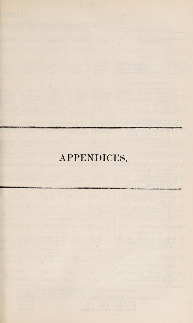 APPENDICES.