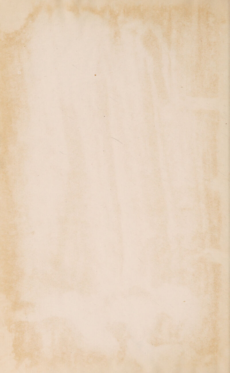 ■ I • I * ■ . , ■ . t . . - - ■ i V-. •