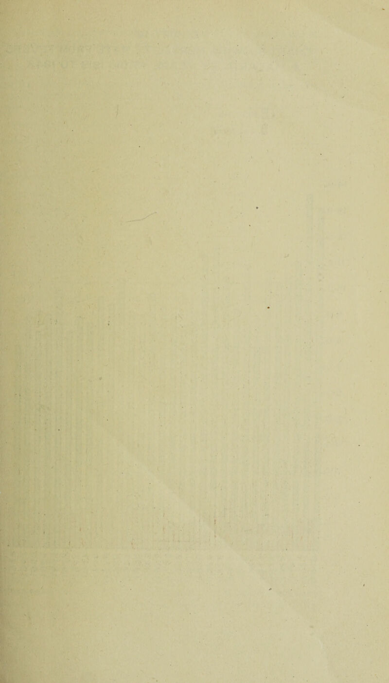 • ■ * ' . t - - - ' * - t ■ _ * •