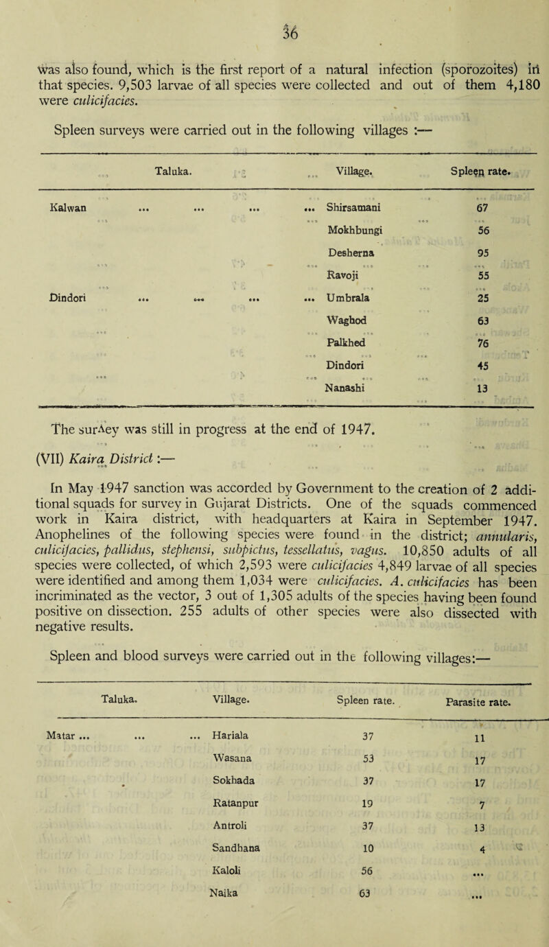 was also found; which is the first report of a natural infection (sporozoites) ill that species. 9,503 larvae of all species were collected and out of them 4,180 were culicifacies. Spleen surveys were carried out in the following villages :— 49) Taluka. •v » h Jr :3 Village. Spleen rate. « M Kalwan a © a a • a 9 0 © ... Shirsamani * » * • • » ii J J*“ 67 o ■> 4 • ♦4 Mokhbungi C4» tO* 56 Desherna 95 « ■> *i « * a a a a Ravoji 55 Dindori a 4 © coo 1 .9 CI4 ... Umbrala «* > a o • 25 Waghod 63 Palkhed * « a a f fj j 76 T r... 'a • 49 \ a *> « a v 3 Dindori ton o , *r * i ■ c A 45 Nanashi © 9 a 13 e j a ’ . •, n J j ’ ‘ 1. ; The surAey was still in progress at the end of 1947. (VII) Kaira District In May 1947 sanction was accorded by Government to the creation of 2 addi¬ tional squads for survey in Gujarat Districts. One of the squads commenced work in Kaira district, with headquarters at Kaira in September 1947. Anophelines of the following species were found in the district; annularis, culicifacies, pallidus, stephensi, subpictus, tessellatus, vagus. 10,850 adults of all species were collected, of which 2,593 were culicifacies 4,849 larvae of all species were identified and among them 1,034 were culicifacies. A. culicifacies has been incriminated as the vector, 3 out of 1,305 adults of the species having been found positive on dissection. 255 adults of other species were also dissected with negative results. Spleen and blood surveys were carried out in the following villages:— Taluka. Matar ... Village. Spleen rate. Parasite rate. Hariala 37 11 Wasana 53 17 Sokhada 37 17 Ratanpur 19 7 Antroli 37 13 Sandhana 10 4 « Kaloli 56 • a a Naika 63 911