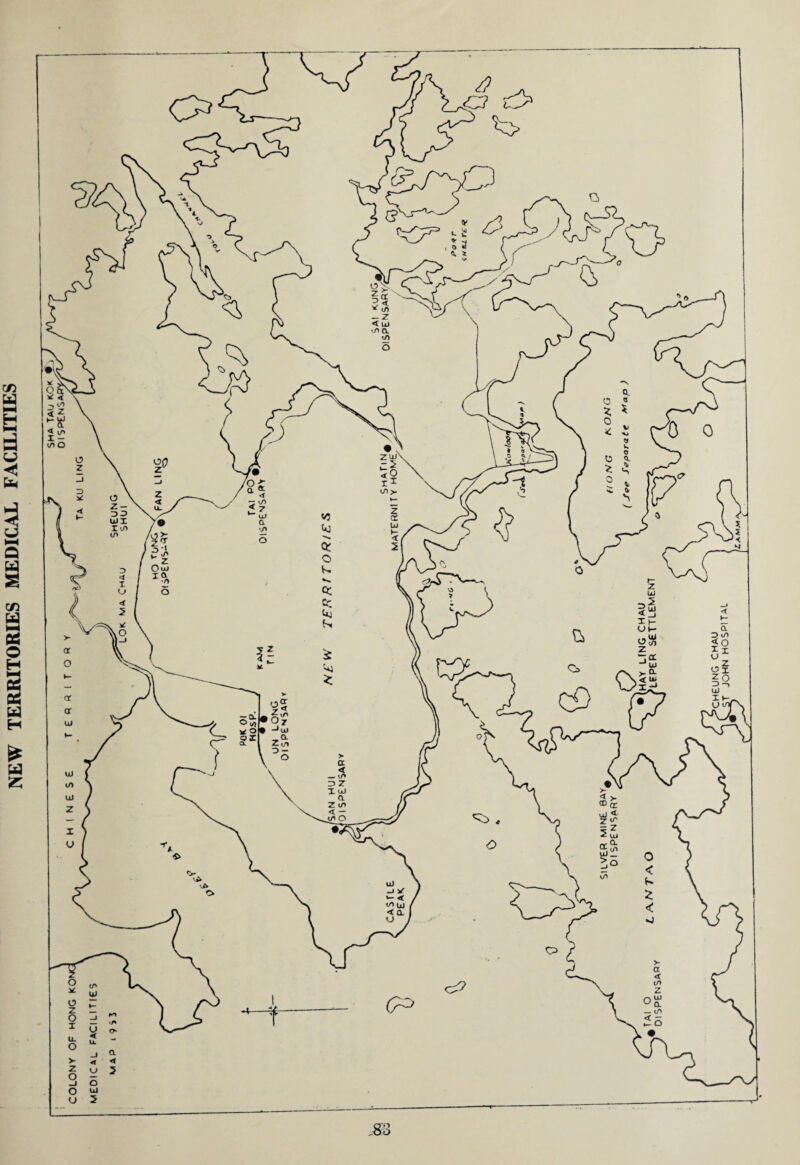 NEW TERRITORIES MEDICAL FACILITIES