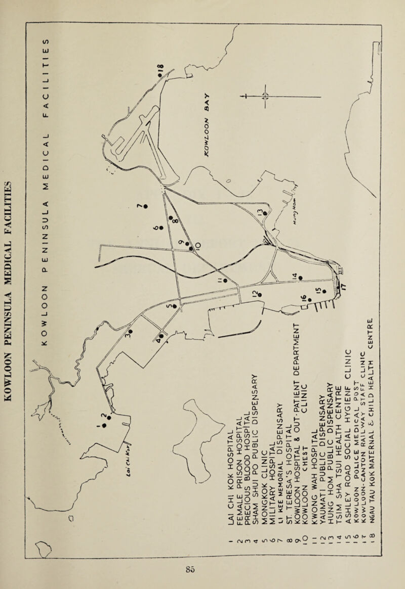 KOWLOON PENINSULA MEDICAL FACILITIES 80