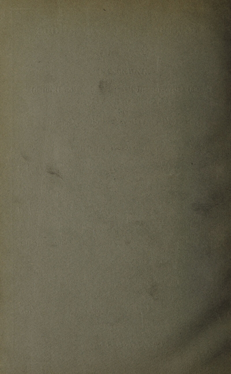 •. ’ . *>»v; .;; ' ■ 8s» •:’ 1 - \* /••'>■';. ivr fc ••'•;?.'V «f :--Ms ;. • • Jfi ; ■ r}y/Jv ■•/ -V ,. $„fi fSffiL '■r'Zfe 7,'■'V \$§ • •'V.'-r. ■»- -vf „ 2*11 . .... ; S': : r ,‘X>^ r ,V v ■:>•■;-:'-V' vi’ ■ ■' ;■ -v- vp;:v s ■.; • i! || '■• ■- %:;4J , •■■■/ v< A..?',.. ; ■ •■•- -. .■:■'■■■•; ■ . ■ . ■ -X rs. r- V. m • - . •• ' '•*'••' -'• ' .-.■i^',r.:'r*l . '• •;••1 -:^r : • ■ - ■ ... ' . ■ . . . S’ *■ J:,r >*\ >:' *07 tpr tyr.&'t _ .. . • A? -v ISa ' > '1J'~ :v W# ' • •* •- '<■ V*.\T;'.’ ’ .. i- ;v • 'X ■V %i'S ■ *1 * * *1 ^ L-al. 'VV ^*l - . . ;• 'M ;'s i . • v . .. '  . . ’ ' •K ‘/ *tV,V ' *' / .-■•» * •<4-‘v/ .•(/.••r .V- • . . . .• AvfflJw. •* * V- ■'.>*' r* ! '■ • ' • - Tt W 7 7 * ’ a.s . •s ' •; rtf'iv* - ; . -iiy a2&r/'-A .* . ,r' ‘ . •■ X :■' : <* / y. .’ >•“ y yi -•'*<y ■■■ ■' ■<■:>. v. •. »•.•-^7* •■•' { : v.;. sW; ;>'• '■■■■' fe-vv- It ' ; *?■¥£ * ^ • r.-. •$ 'V • ' ' •• 7:*v- -m. @1 ■ ’•■ > ‘ ' <■• 1 ” ••* •t - • • ; . / *. -T .r ■ .*. ^