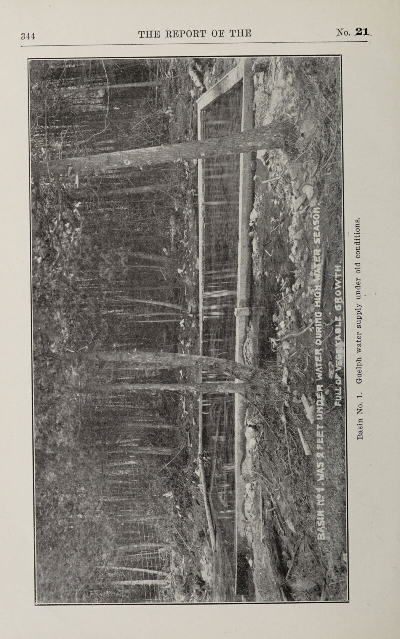 Basin No. 1. Guelph water supply under old conditions.