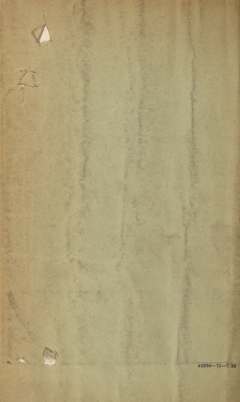 32350—75—7/38