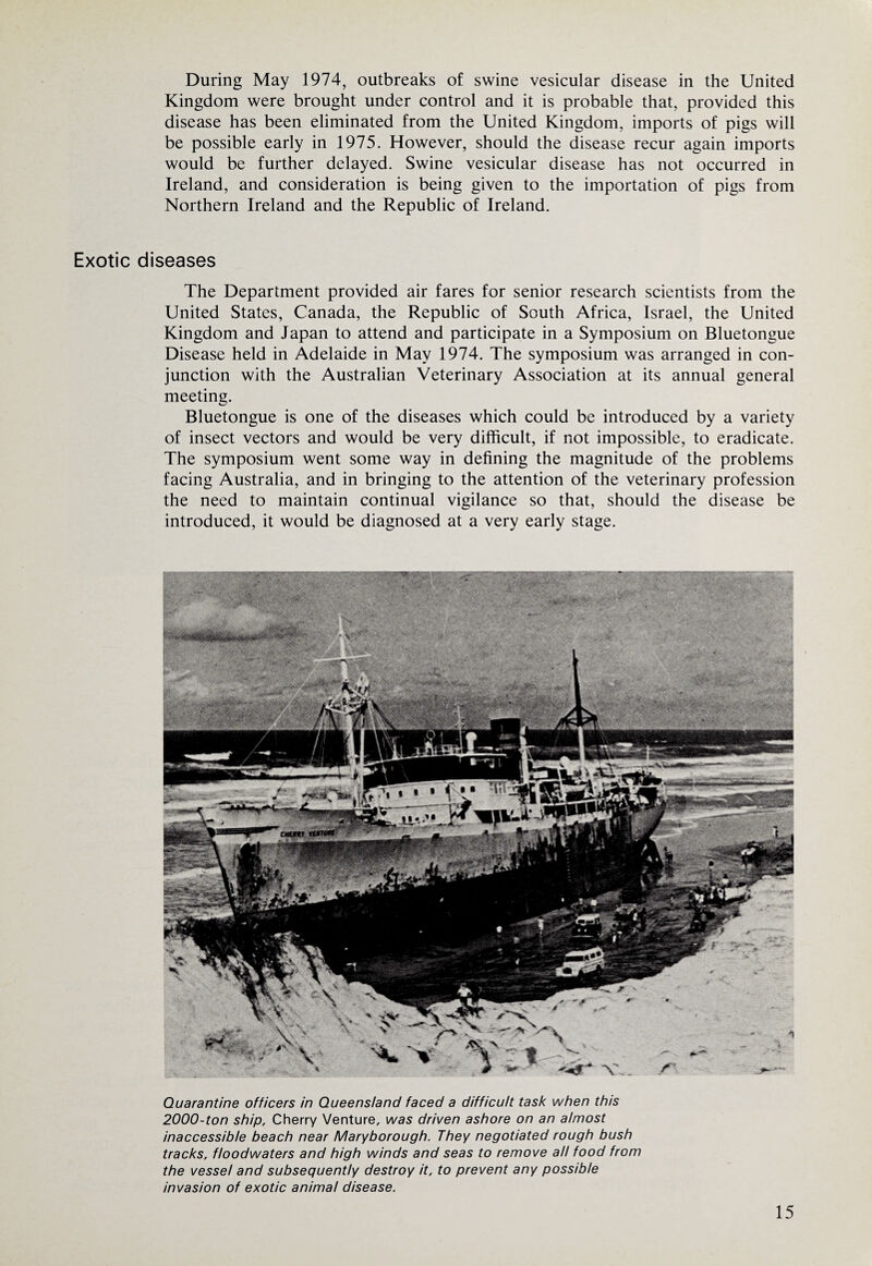 During May 1974, outbreaks of swine vesicular disease in the United Kingdom were brought under control and it is probable that, provided this disease has been eliminated from the United Kingdom, imports of pigs will be possible early in 1975. However, should the disease recur again imports would be further delayed. Swine vesicular disease has not occurred in Ireland, and consideration is being given to the importation of pigs from Northern Ireland and the Republic of Ireland. Exotic diseases The Department provided air fares for senior research scientists from the United States, Canada, the Republic of South Africa, Israel, the United Kingdom and Japan to attend and participate in a Symposium on Bluetongue Disease held in Adelaide in May 1974. The symposium was arranged in con¬ junction with the Australian Veterinary Association at its annual general meeting. Bluetongue is one of the diseases which could be introduced by a variety of insect vectors and would be very difficult, if not impossible, to eradicate. The symposium went some way in defining the magnitude of the problems facing Australia, and in bringing to the attention of the veterinary profession the need to maintain continual vigilance so that, should the disease be introduced, it would be diagnosed at a very early stage. Quarantine officers in Queensland faced a difficult task when this 2000-ton ship, Cherry Venture, was driven ashore on an almost inaccessible beach near Maryborough. They negotiated rough bush tracks, floodwaters and high winds and seas to remove all food from the vessel and subsequently destroy it, to prevent any possible invasion of exotic animal disease.