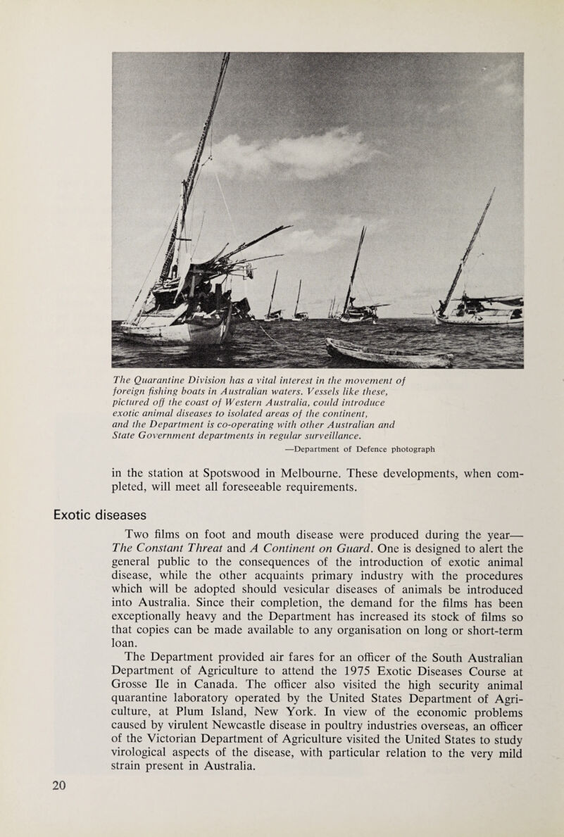 The Quarantine Division has a vital interest in the movement of foreign fishing boats in Australian waters. Vessels like these, pictured off the coast of Western Australia, could introduce exotic animal diseases to isolated areas of the continent, and the Department is co-operating with other Australian and State Government departments in regular surveillance. —Department of Defence photograph in the station at Spotswood in Melbourne. These developments, when com¬ pleted, will meet all foreseeable requirements. Exotic diseases Two films on foot and mouth disease were produced during the year— The Constant Threat and A Continent on Guard. One is designed to alert the general public to the consequences of the introduction of exotic animal disease, while the other acquaints primary industry with the procedures which will be adopted should vesicular diseases of animals be introduced into Australia. Since their completion, the demand for the films has been exceptionally heavy and the Department has increased its stock of films so that copies can be made available to any organisation on long or short-term loan. The Department provided air fares for an officer of the South Australian Department of Agriculture to attend the 1975 Exotic Diseases Course at Grosse He in Canada. The officer also visited the high security animal quarantine laboratory operated by the United States Department of Agri¬ culture, at Plum Island, New York. In view of the economic problems caused by virulent Newcastle disease in poultry industries overseas, an officer of the Victorian Department of Agriculture visited the United States to study virological aspects of the disease, with particular relation to the very mild strain present in Australia.