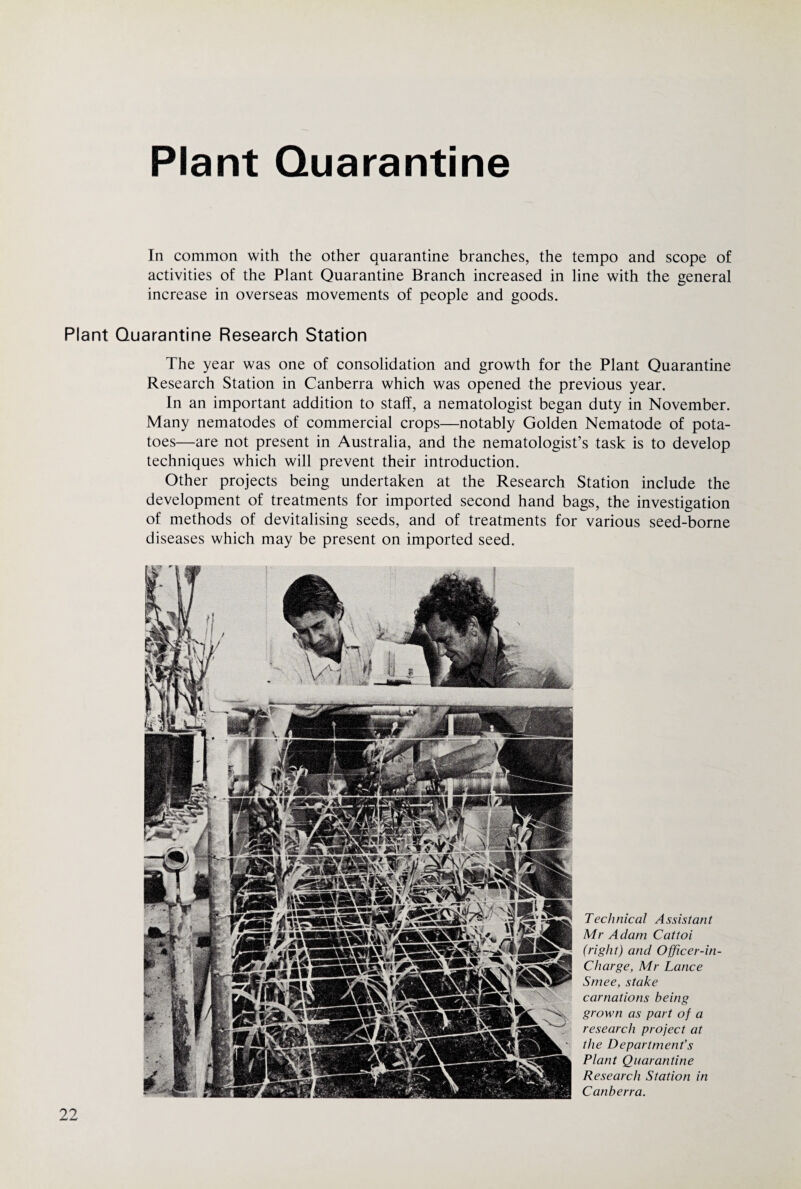 Plant Quarantine In common with the other quarantine branches, the tempo and scope of activities of the Plant Quarantine Branch increased in line with the general increase in overseas movements of people and goods. Plant Quarantine Research Station The year was one of consolidation and growth for the Plant Quarantine Research Station in Canberra which was opened the previous year. In an important addition to staff, a nematologist began duty in November. Many nematodes of commercial crops—notably Golden Nematode of pota¬ toes—are not present in Australia, and the nematologist’s task is to develop techniques which will prevent their introduction. Other projects being undertaken at the Research Station include the development of treatments for imported second hand bags, the investigation of methods of devitalising seeds, and of treatments for various seed-borne diseases which may be present on imported seed. Technical Assistant Mr Adam Cattoi (right) and Officer-in- Charge, Mr Lance Smee, stake carnations being grown as part of a research project at the Department’s Plant Quarantine Research Station in Canberra.