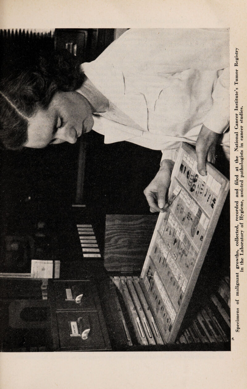 Specimens of malignant growths, collected, recorded and filed at the National Cancer Institute’s Tumor Registry in the Laboratory of Hygiene, assisted pathologists in cancer studies.