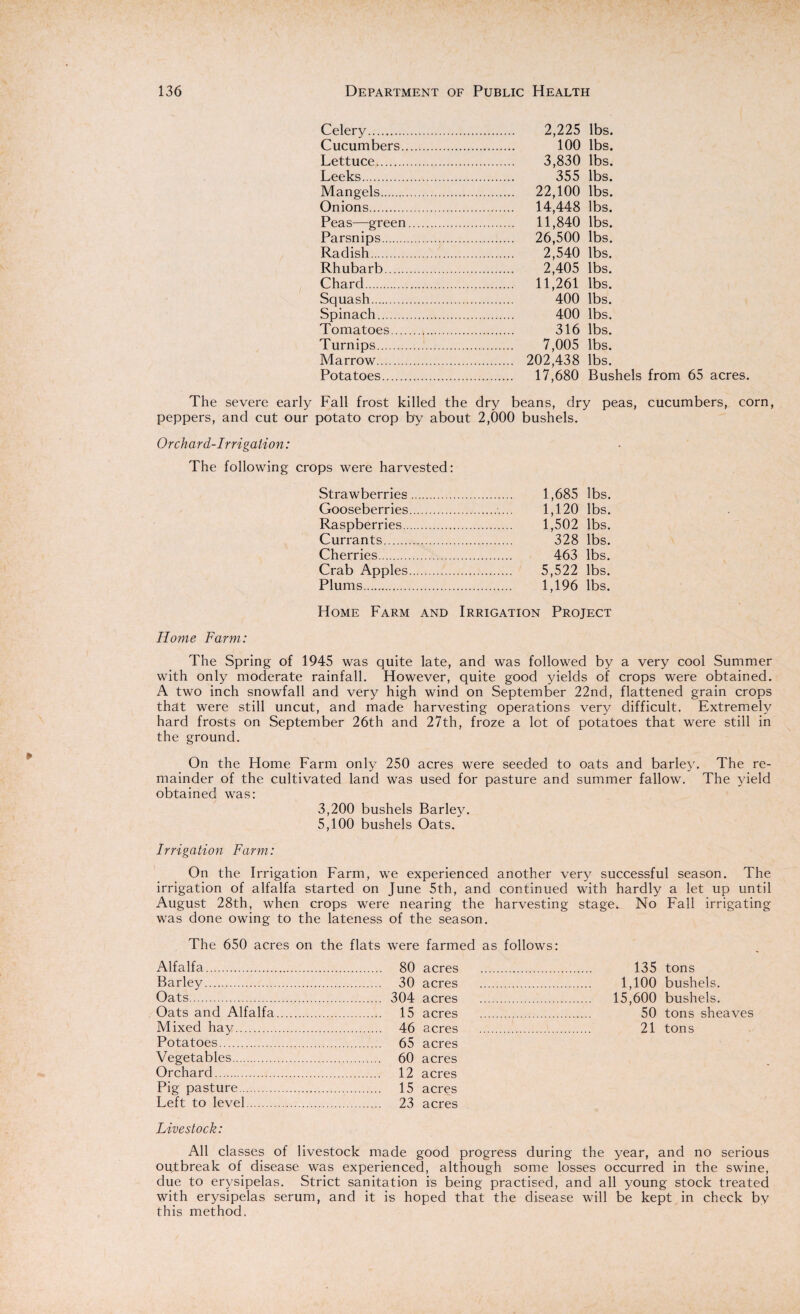 Celery. 2,225 lbs. Cucumbers. 100 lbs. Lettuce. 3,830 lbs. Leeks. 355 lbs. Mangels. 22,100 lbs. Onions. 14,448 lbs. Peas—green. 11,840 lbs. Parsnips. 26,500 lbs. Radish. 2,540 lbs. Rhubarb. 2,405 lbs. Chard. 11,261 lbs. Squash. 400 lbs. Spinach. 400 lbs. Tomatoes. 316 lbs. Turnips.. 7,005 lbs. Marrow. 202,438 lbs. Potatoes. 17,680 Bushels from 65 acres. The severe early Fall frost killed the dry beans, dry peas, cucumbers, corn, peppers, and cut our potato crop by about 2,000 bushels. Orchard-Irrigation: The following crops were harvested: Strawberries. . 1,685 lbs. Gooseberries. 1,120 lbs. Raspberries. . 1,502 lbs. Currants. . 328 lbs. Cherries. . 463 lbs. Crab Apples. . 5,522 lbs. Plums. . 1,196 lbs. Home Farm and Irrigation Project Home Farm: The Spring of 1945 was quite late, and was followed by a very cool Summer with only moderate rainfall. However, quite good yields of crops were obtained. A two inch snowfall and very high wind on September 22nd, flattened grain crops that were still uncut, and made harvesting operations very difficult. Extremely hard frosts on September 26th and 27th, froze a lot of potatoes that were still in the ground. On the Home Farm only 250 acres were seeded to oats and barley. The re¬ mainder of the cultivated land was used for pasture and summer fallow. The yield obtained was: 3,200 bushels Barley. 5,100 bushels Oats. Irrigation Farm: On the Irrigation Farm, we experienced another very successful season. The irrigation of alfalfa started on June 5th, and continued with hardly a let up until August 28th, when crops were nearing the harvesting stage. No Fall irrigating was done owing to the lateness of the season. The 650 acres on the flats were farmed as follows: Alfalfa. . 80 acres 135 tons Barley. . 30 acres 1,100 bushels. Oats. . 304 acres 15,600 bushels. Oats and Alfalfa. . 15 acres 50 tons sheaves Mixed hay. . 46 acres 21 tons Potatoes. . 65 acres Vegetables. . 60 acres Orchard. . 12 acres Pig pasture. . 15 acres Left to level. . 23 acres Livestock: All classes of livestock made good progress during the year, and no serious outbreak of disease was experienced, although some losses occurred in the swine, due to erysipelas. Strict sanitation is being practised, and all young stock treated with erysipelas serum, and it is hoped that the disease will be kept in check by this method.