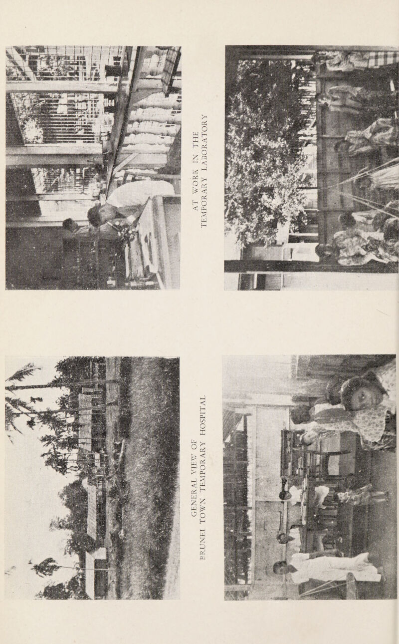 >-< Ph o UJ H HH . ^ <3 H ^ ° - < ^ 1-1 ■ Pi O !> >H Ph < Ph H O < Ph