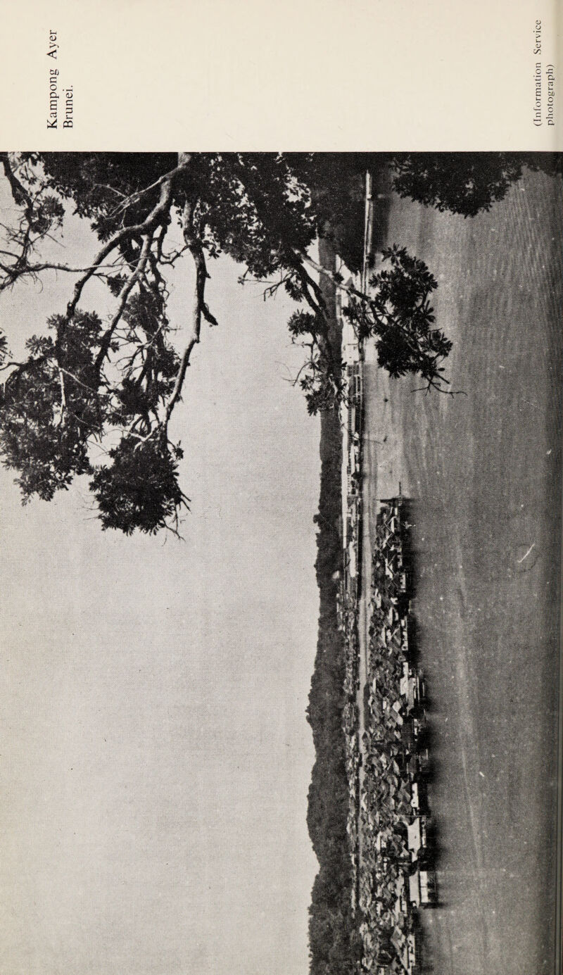 Kampong Ayer Brunei. (Information Service photograph)