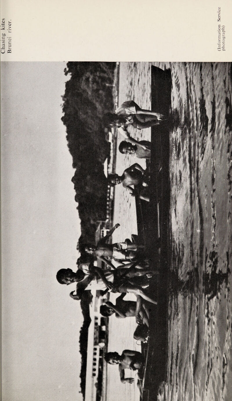 t/3 <u u *-l M o #> ?» 01) .s *53 5 c CTj s -C u PC u ’> u <L> C/3 OX •x c- 2 g S to o & o Cx ■>-*•• o*