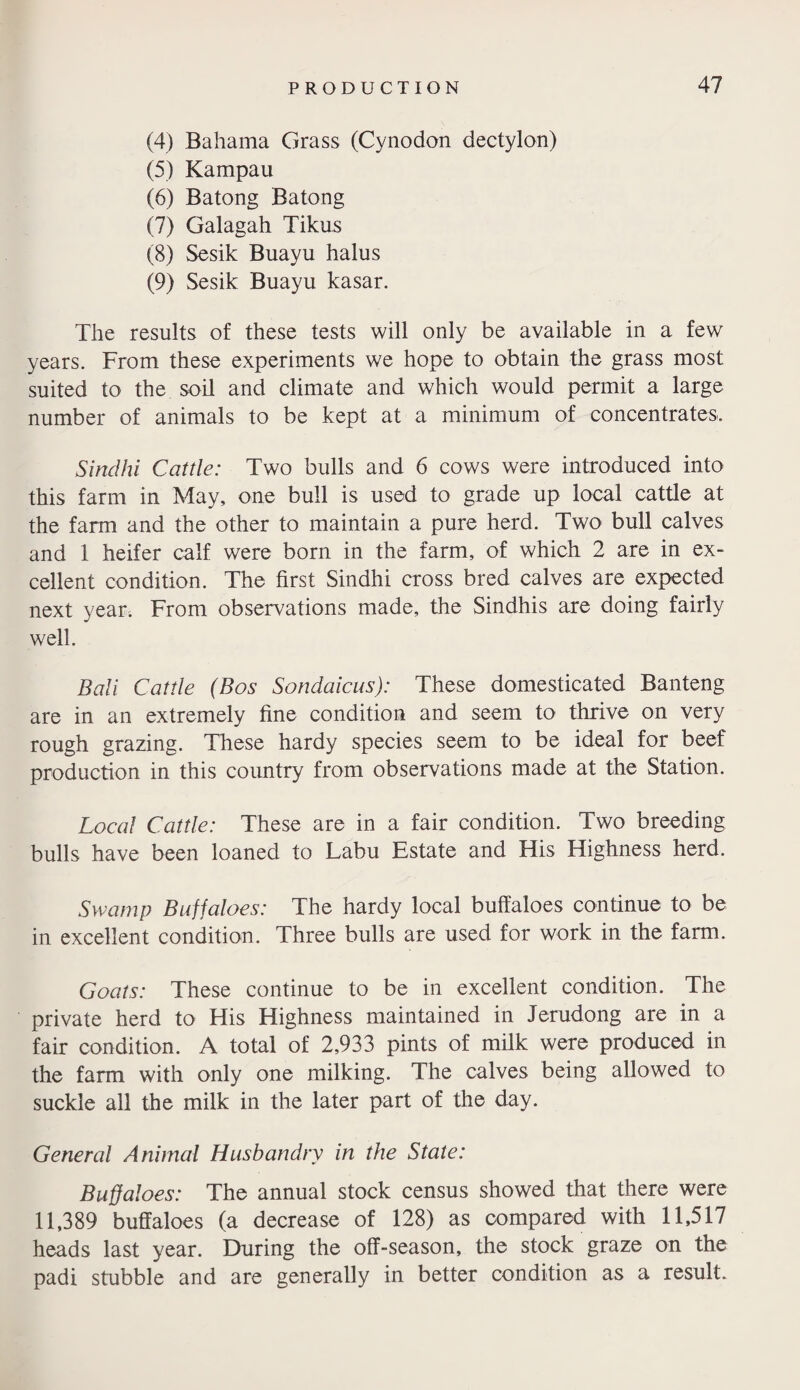 (4) Bahama Grass (Cynodon dectylon) (5) Kampau (6) Batong B a tong (7) Galagah Tikus (8) Sesik Buayu halus (9) Sesik Buayu kasar. The results of these tests will only be available in a few years. From these experiments we hope to obtain the grass most suited to the soil and climate and which would permit a large number of animals to be kept at a minimum of concentrates. Sind hi Cattle: Two bulls and 6 cows were introduced into this farm in May, one bull is used to grade up local cattle at the farm and the other to maintain a pure herd. Two bull calves and 1 heifer calf were born in the farm, of which 2 are in ex¬ cellent condition. The first Sindhi cross bred calves are expected next year. From observations made, the Sindhis are doing fairly well. Bali Cattle (Bos Sondaicus): These domesticated Banteng are in an extremely fine condition and seem to thrive on very rough grazing. These hardy species seem to be ideal for beef production in this country from observations made at the Station. Local Cattle: These are in a fair condition. Two breeding bulls have been loaned to Labu Estate and His Highness herd. Swamp Buffaloes: The hardy local buffaloes continue to be in excellent condition. Three bulls are used for work in the farm. Goats: These continue to be in excellent condition. The private herd to His Highness maintained in Jerudong are in a fair condition. A total of 2,933 pints of milk were produced in the farm with only one milking. The calves being allowed to suckle all the milk in the later part of the day. General Animal Husbandry in the State: Buffaloes: The annual stock census showed that there were 11,389 buffaloes (a decrease of 128) as compared with 11,517 heads last year. During the off-season, the stock graze on the padi stubble and are generally in better condition as a result.