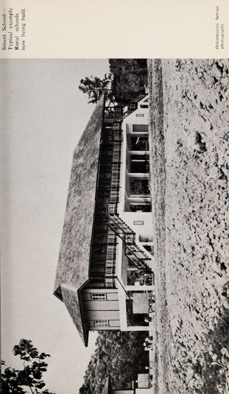Sinaut School— Typical example Rural schools now being built. d> cn ! | s I'