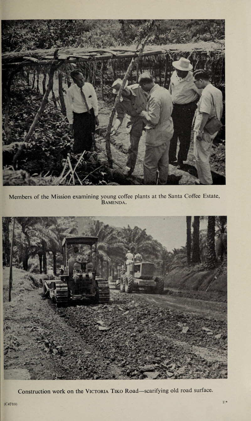 .Mas* Members of the Mission examining young coffee plants at the Santa Coffee Estate, B AMEND A. (C4710)