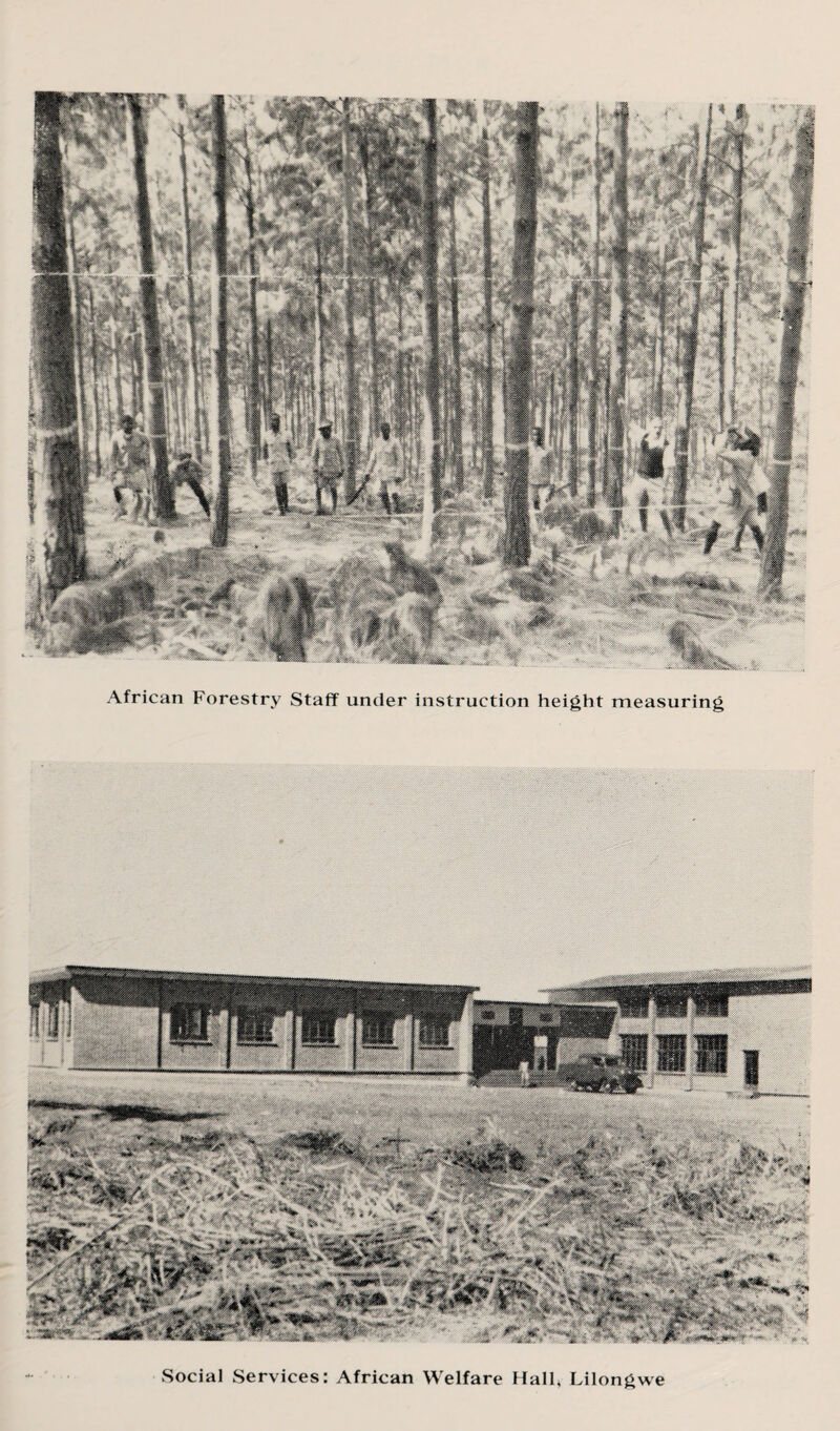 African Forestry Staff under instruction height measuring Social Services: African Welfare Hall, Lilongwe