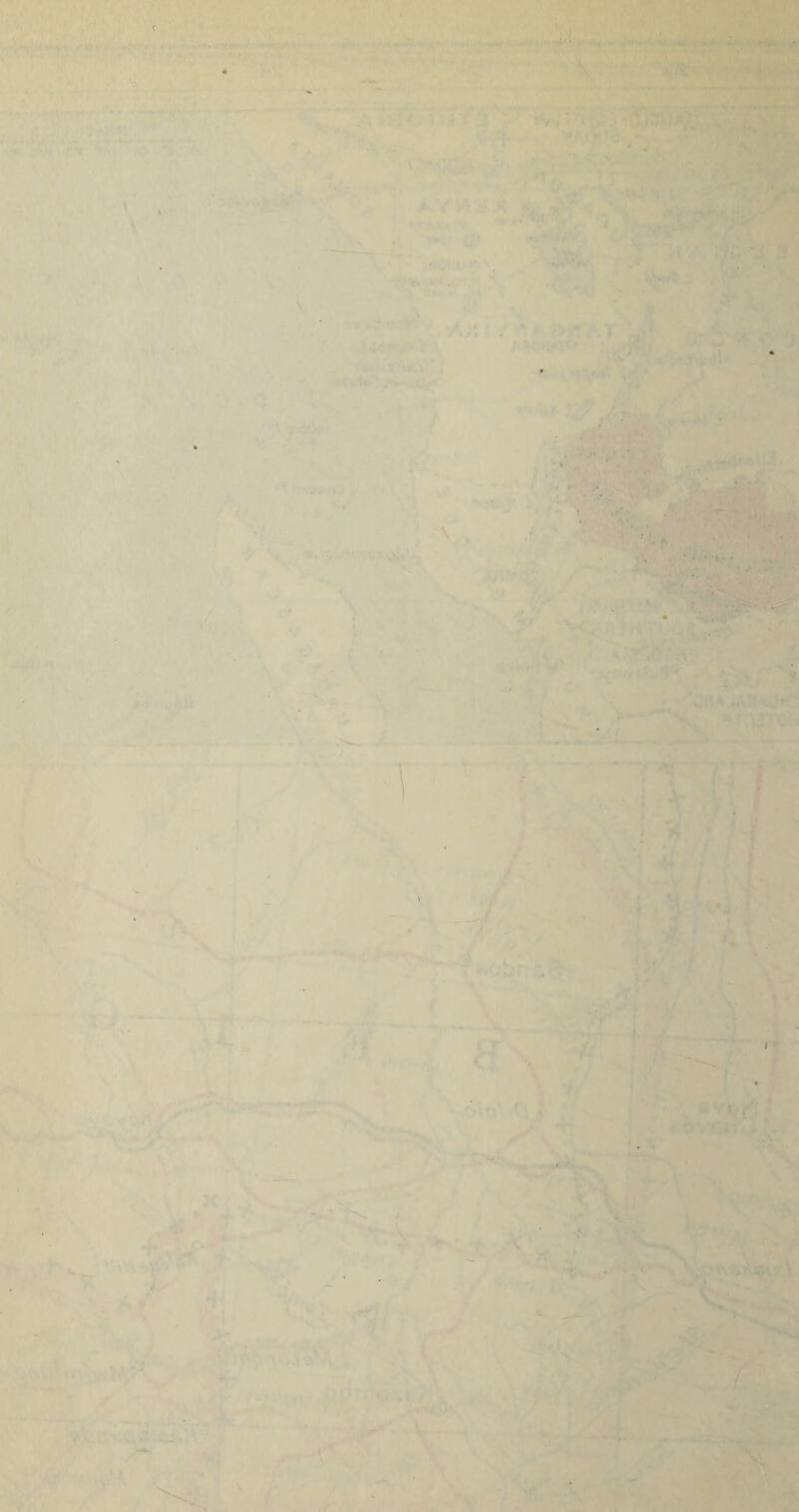 * - ' •V • • * wifr . ' * 1 - ■[ > * . *