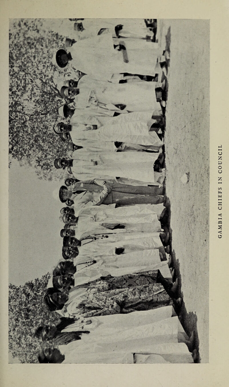 GAMBIA CHIEFS IN COUNCIL