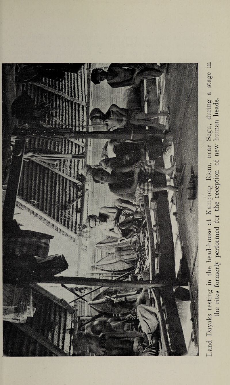 Land Dayaks resting in the head-house at Ivampong Eiom, near Segu, during the rites formerly performed for the reception of new human heads.