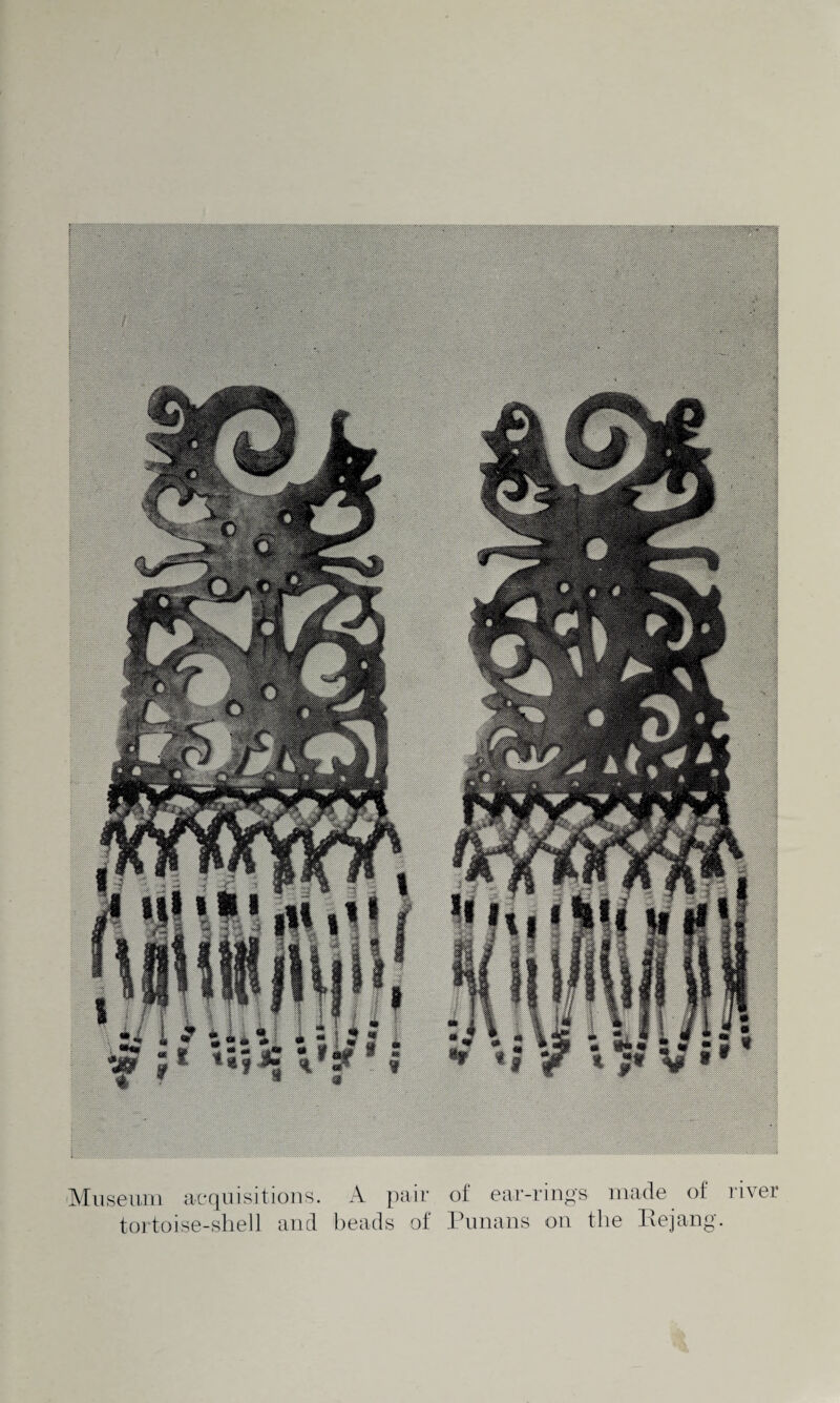 Museum acquisitions. A pair of ear-rings made of river tortoise-shell and beads of Punans on the Rejang.