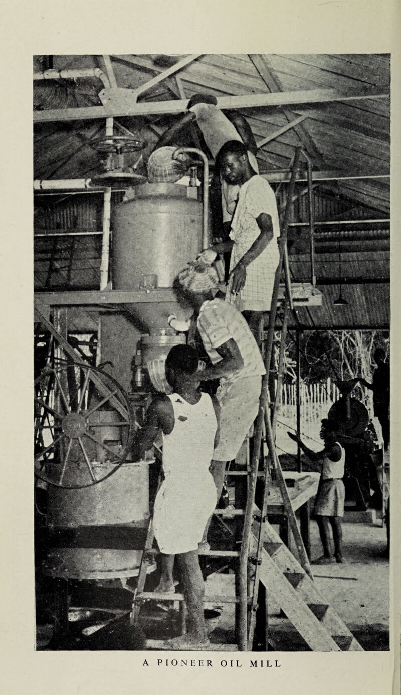 A PIONEER OIL MILL