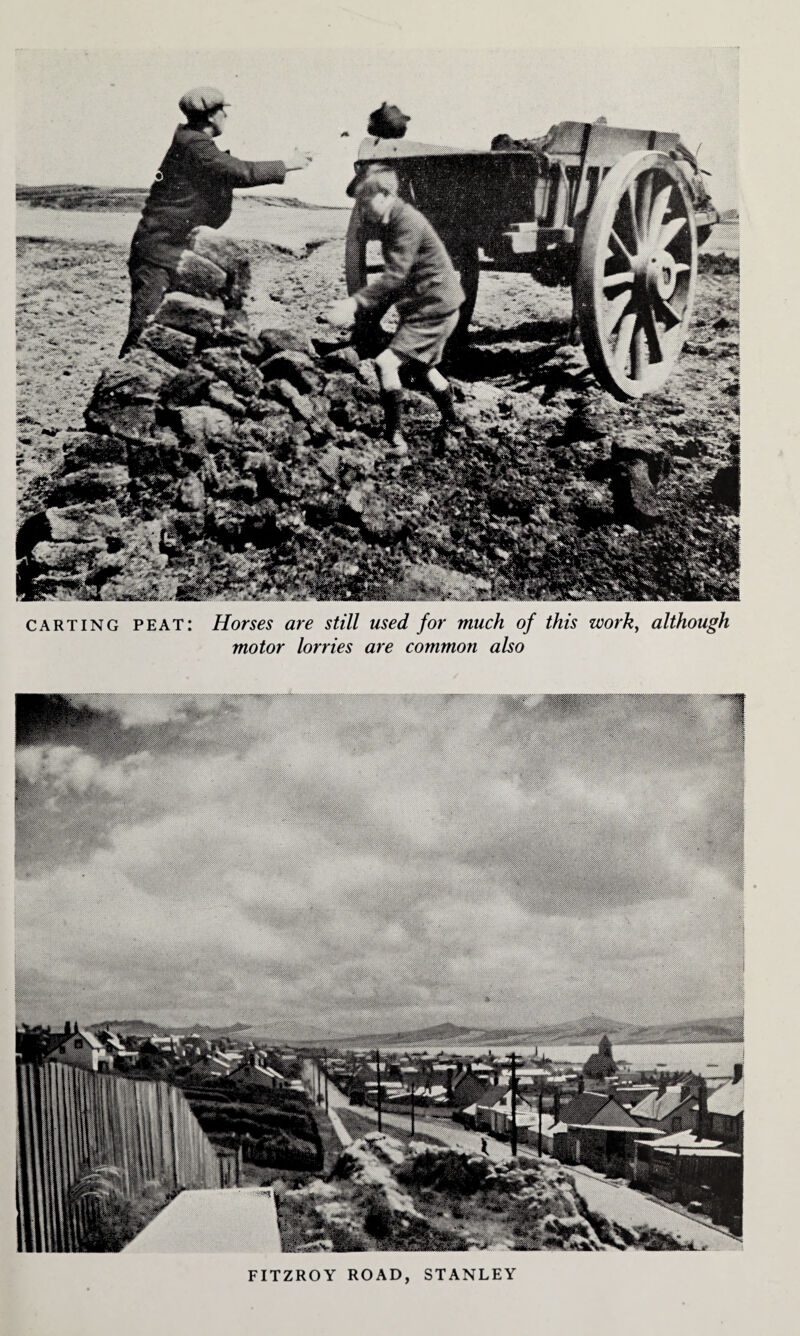 carting peat: Horses are still used for much of this work, although motor lorries are common also FITZROY ROAD, STANLEY