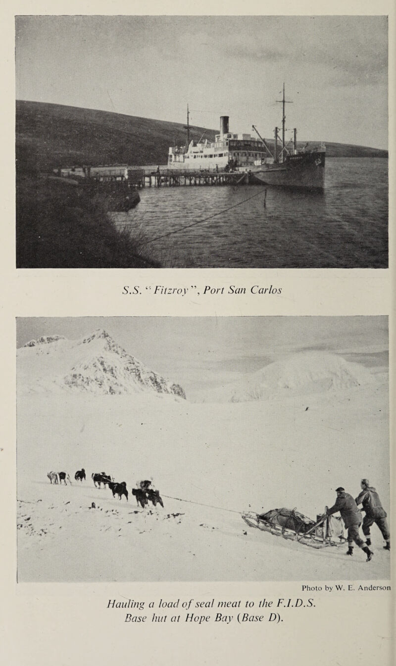 ' M S.S. ‘ ‘ Fitzroy ”, Port San Carlos Photo by W. E. Anderson Hauling a load of seal meat to the F.I.D.S. Base hut at Hope Bay (Base D).