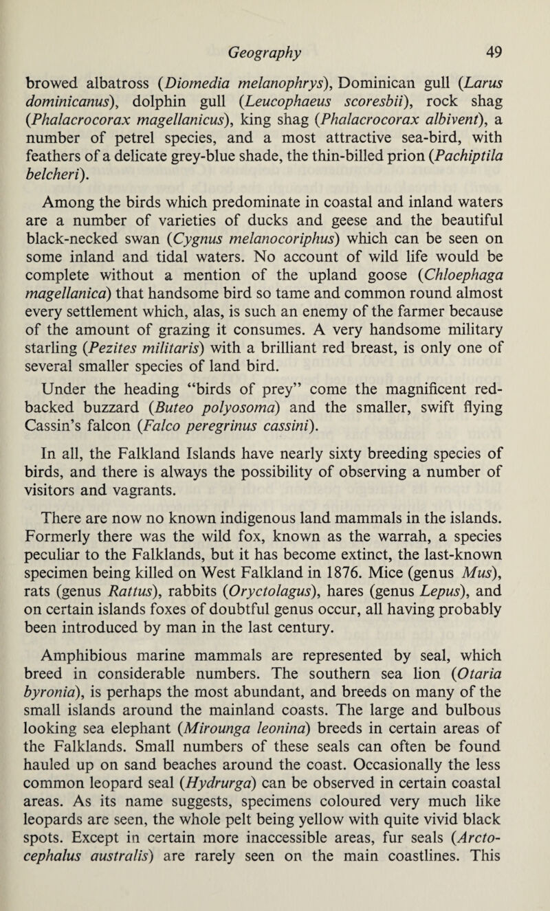 browed albatross (Diomedia melanophrys), Dominican gull (Lams dominicanus), dolphin gull (Leucophaeus scoresbii), rock shag (Phalacrocorax magellanicus), king shag (Phalacrocorax albivent), a number of petrel species, and a most attractive sea-bird, with feathers of a delicate grey-blue shade, the thin-billed prion {Pachiptila belcheri). Among the birds which predominate in coastal and inland waters are a number of varieties of ducks and geese and the beautiful black-necked swan (Cygnus melanocoriphus) which can be seen on some inland and tidal waters. No account of wild life would be complete without a mention of the upland goose (Chloephaga magellanica) that handsome bird so tame and common round almost every settlement which, alas, is such an enemy of the farmer because of the amount of grazing it consumes. A very handsome military starling (Pezites militaris) with a brilliant red breast, is only one of several smaller species of land bird. Under the heading “birds of prey” come the magnificent red- backed buzzard (Buteo polyosoma) and the smaller, swift flying Cassin’s falcon (Falco peregrinus cassini). In all, the Falkland Islands have nearly sixty breeding species of birds, and there is always the possibility of observing a number of visitors and vagrants. There are now no known indigenous land mammals in the islands. Formerly there was the wild fox, known as the warrah, a species peculiar to the Falklands, but it has become extinct, the last-known specimen being killed on West Falkland in 1876. Mice (genus Mus), rats (genus Rattus), rabbits (Oryctolagus), hares (genus Lepus), and on certain islands foxes of doubtful genus occur, all having probably been introduced by man in the last century. Amphibious marine mammals are represented by seal, which breed in considerable numbers. The southern sea lion (Otaria byronia), is perhaps the most abundant, and breeds on many of the small islands around the mainland coasts. The large and bulbous looking sea elephant (Mirounga leonina) breeds in certain areas of the Falklands. Small numbers of these seals can often be found hauled up on sand beaches around the coast. Occasionally the less common leopard seal (Hydrurga) can be observed in certain coastal areas. As its name suggests, specimens coloured very much like leopards are seen, the whole pelt being yellow with quite vivid black spots. Except in certain more inaccessible areas, fur seals (Arcto- cephalus australis) are rarely seen on the main coastlines. This