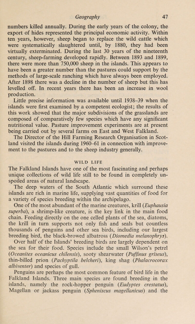 numbers killed annually. During the early years of the colony, the export of hides represented the principal economic activity. Within ten years, however, sheep began to replace the wild cattle which were systematically slaughtered until, by 1880, they had been virtually exterminated. During the last 30 years of the nineteenth century, sheep-farming developed rapidly. Between 1893 and 1899, there were more than 750,000 sheep in the islands. This appears to have been a greater number than the pastures could support by the methods of large-scale ranching which have always been employed. After 1898 there was a decline in the number of sheep but this has levelled off. In recent years there has been an increase in wool production. Little precise information was available until 1938-39 when the islands were first examined by a competent ecologist; the results of this work showed that the major subdivisions of the grasslands are composed of comparatively few species which have any significant nutritional value. Pasture improvement experiments are at present being carried out by several farms on East and West Falkland. The Director of the Hill Farming Research Organisation in Scot¬ land visited the islands during 1960-61 in connection with improve¬ ment to the pastures and to the sheep industry generally. WILD LIFE The Falkland Islands have one of the most fascinating and perhaps unique collections of wild life still to be found in completely un¬ spoiled areas of natural landscape. The deep waters of the South Atlantic which surround these islands are rich in marine life, supplying vast quantities of food for a variety of species breeding within the archipelago. One of the most abundant of the marine creatures, krill (Euphausia superba), a shrimp-like creature, is the key link in the main food chain. Feeding directly on the one celled plants of the sea, diatoms, the krill in turn supports not only fish and seals but countless thousands of penguins and other sea birds, including our largest breeding bird, the black-browed albatross (Diomedia melanophrys). Over half of the Islands’ breeding birds are largely dependent on the sea for their food. Species include the small Wilson’s petrel (Oceanites oceanicus chilensis), sooty shearwater (Puffinus griseus), thin-billed prion (Pachyptila belcheri), king shag (Phalacrocorax albiventer) and species of gull. Penguins are perhaps the most common feature of bird life in the Falkland Islands. Three main species are found breeding in the islands, namely the rock-hopper penguin (.Eudyptes crestatus), Magellan or jackass penguin (Spheniscus magellanicus) and the