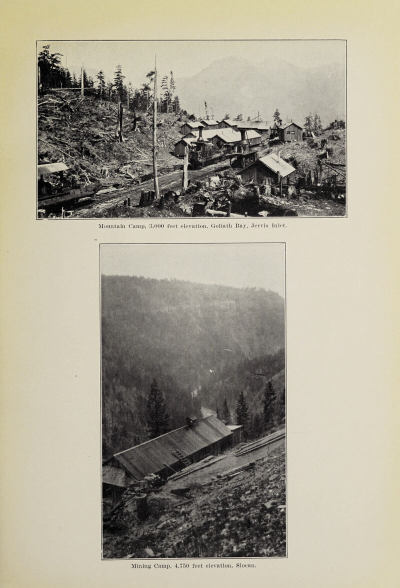 Mountain Camp, 3,000 feet elevation, Goliath Bay, Jervis Inlet. Mining Camp, 4,750 feet elevation, Slocan.