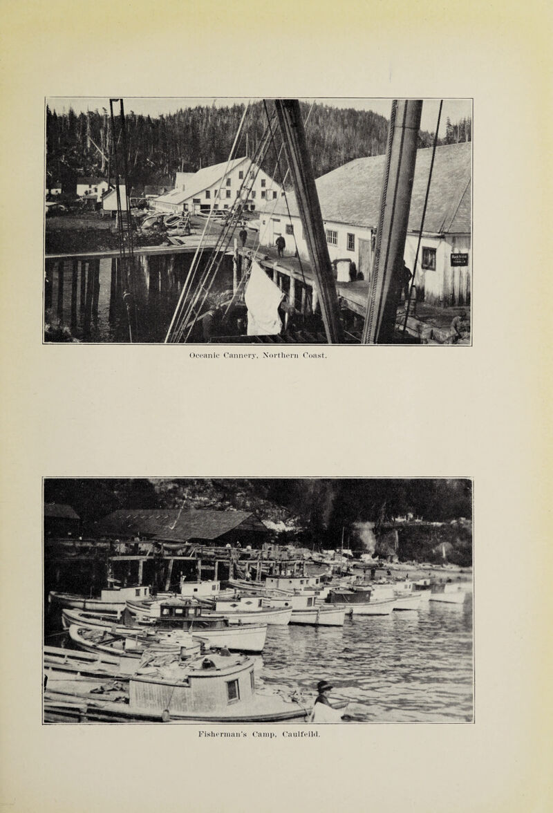 Oceanic Cannery, Northern Coast. Fisherman’s Camp, Caulfeild.