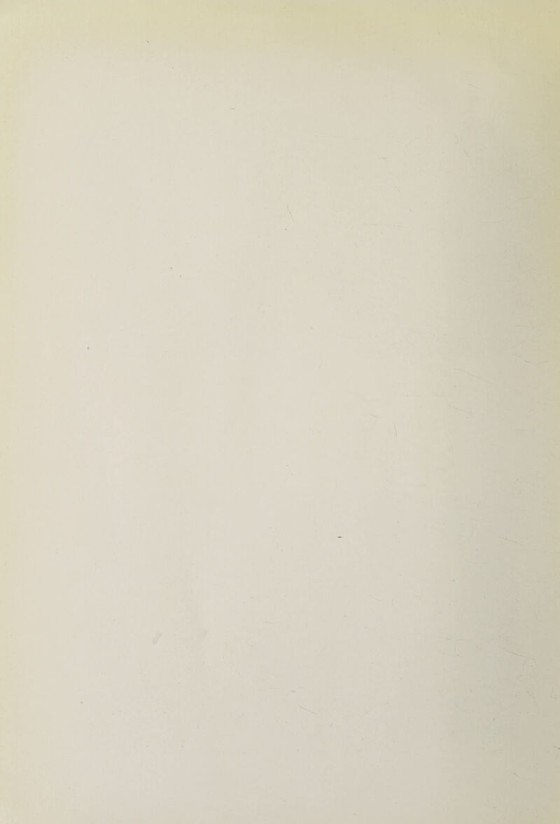 - • __ IB' ■ I . . \ *>