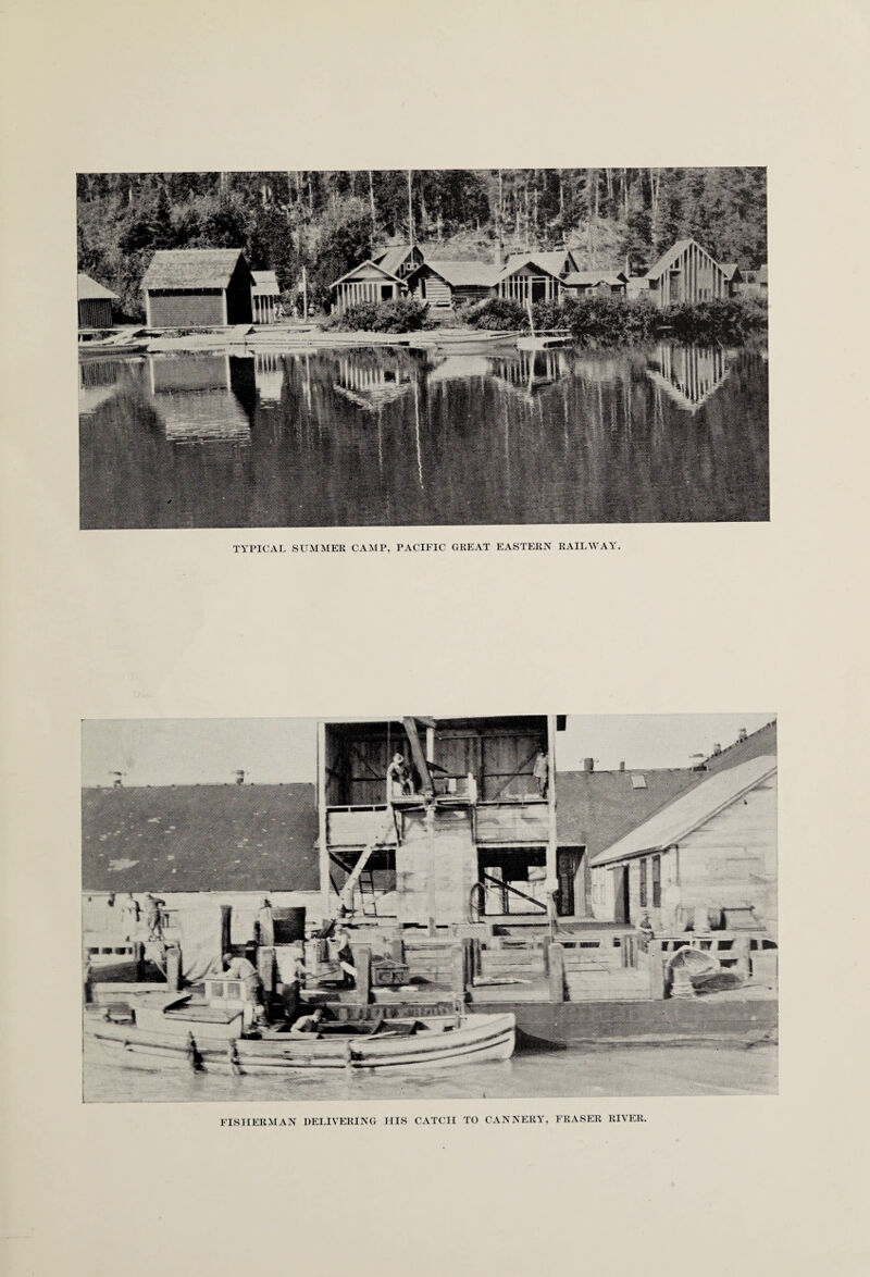 TYPICAL SUMMER CAMP, PACIFIC GREAT EASTERN RAILWAY. FISHERMAN DELIVERING HIS CATCH TO CANNERY, FRASER RIVER.