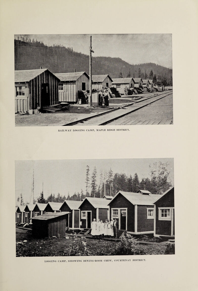 LOGGING CAMP, SHOWING DINING-ROOM CREW, COURTENAY DISTRICT.