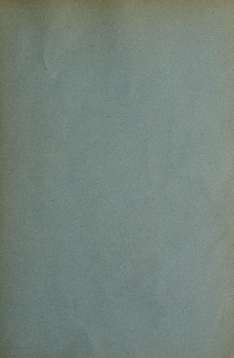 f : .. •• • V /*«,) ^jtS •■' ; •>