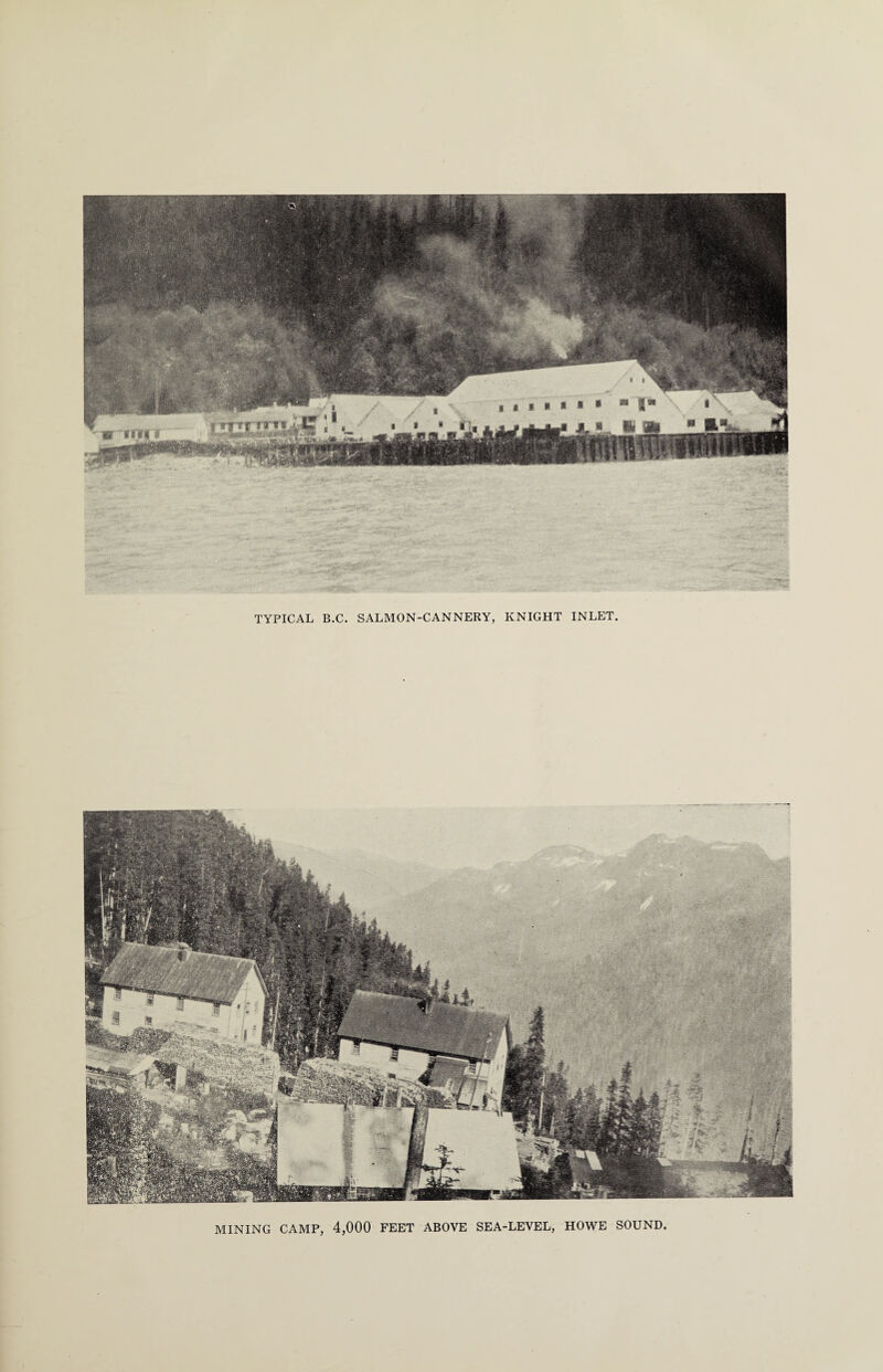 MINING CAMP, 4,000 FEET ABOVE SEA-LEVEL, HOWE SOUND